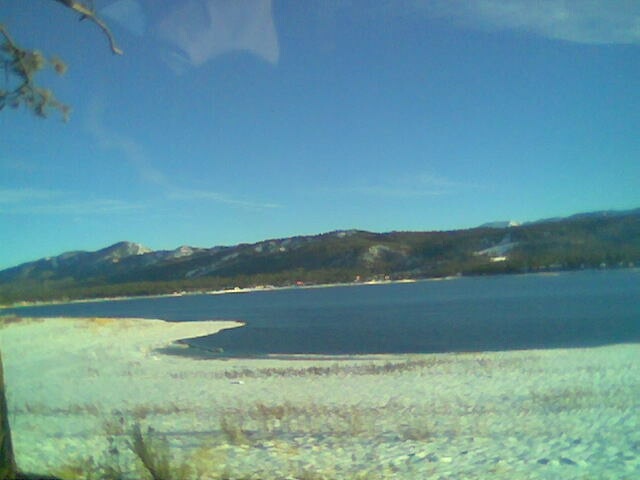 Snow covered marshes