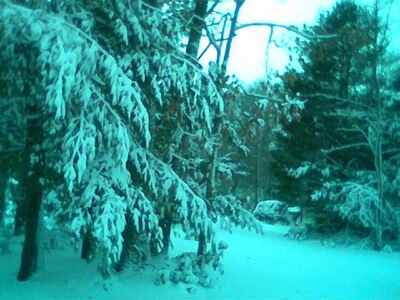 I took this while home in Scituate for the holidays.