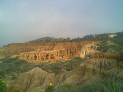 More Torrey Pines
