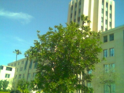 Where Jing Jing and Chris were married today.