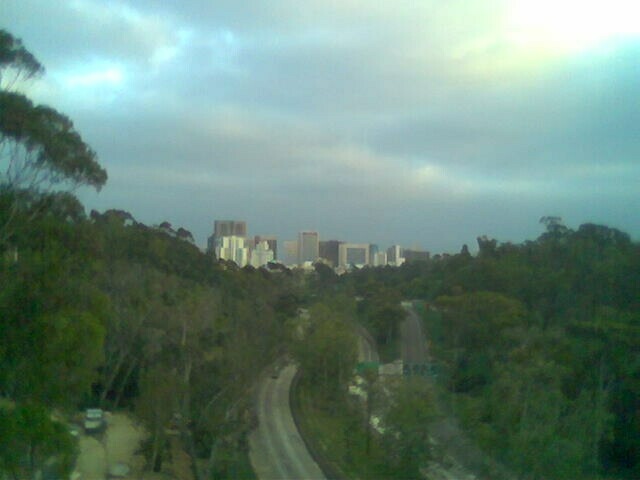 Downtown from Balboa Park