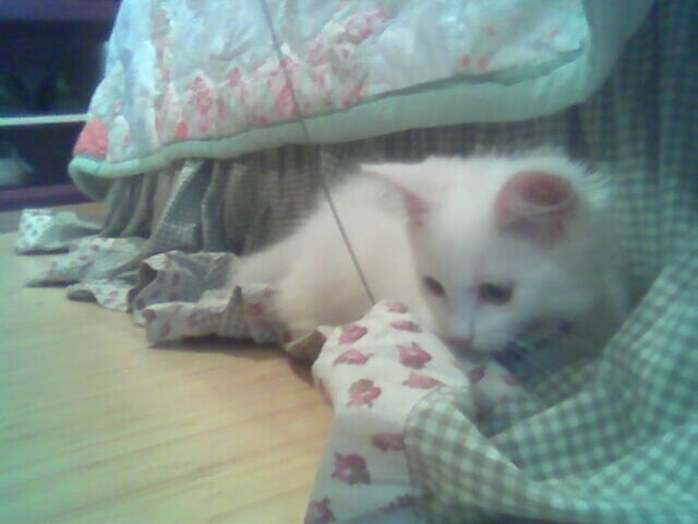 SO CUTE.