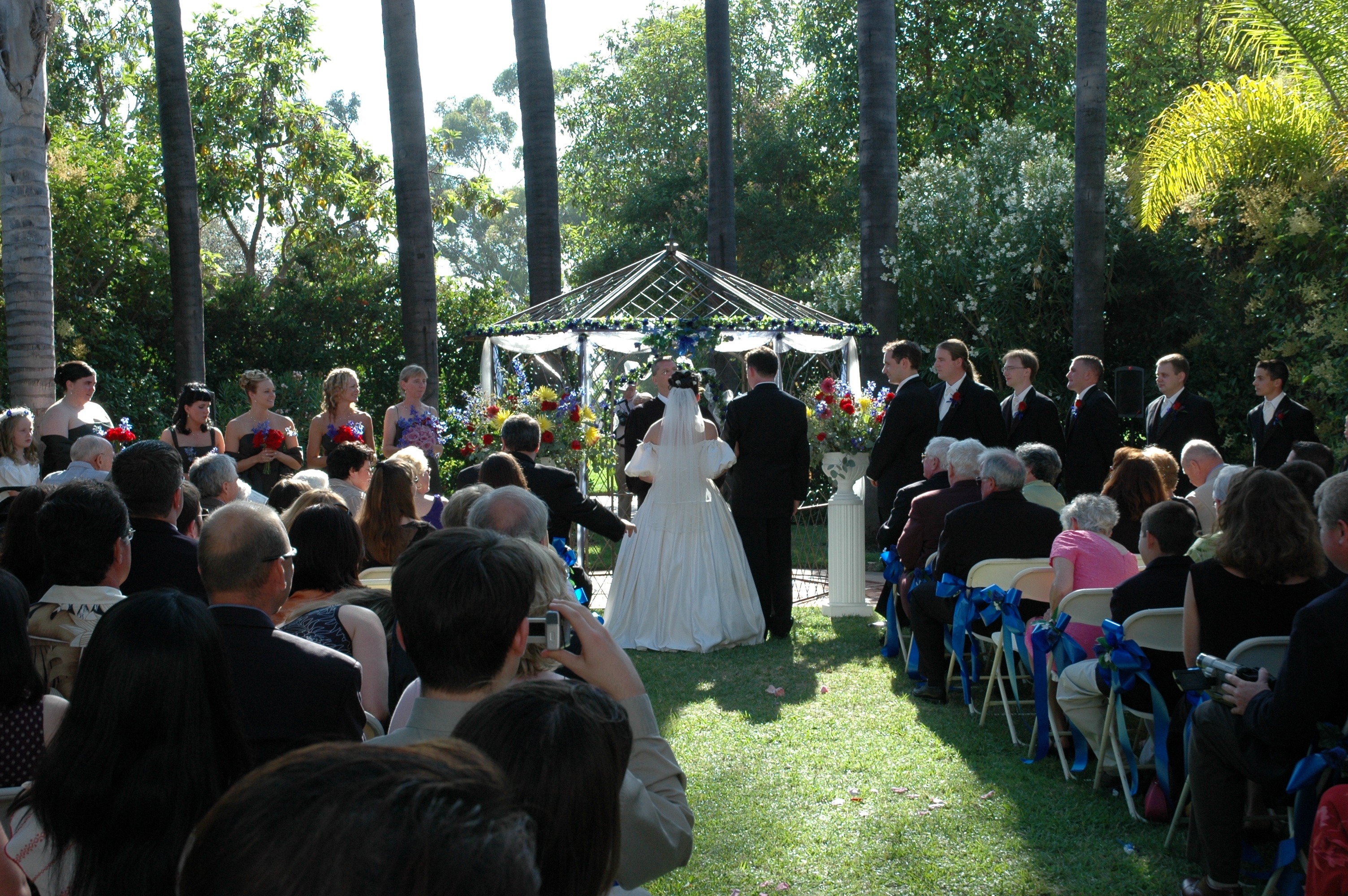 The wedding party