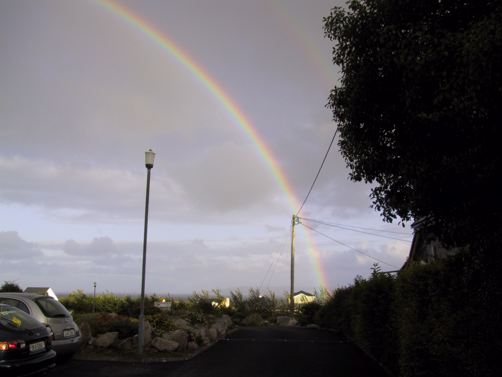 Barna rainbow