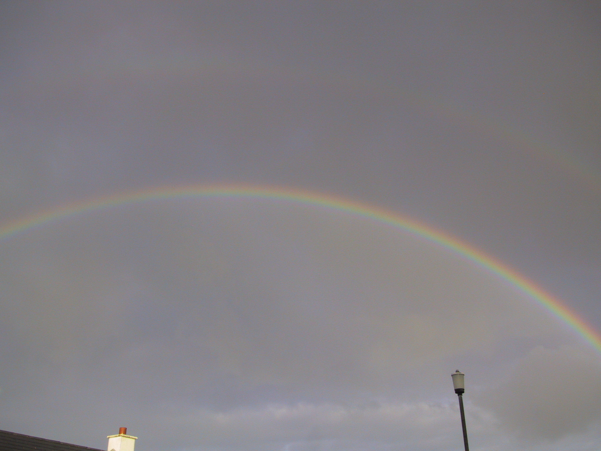 Barna rainbow