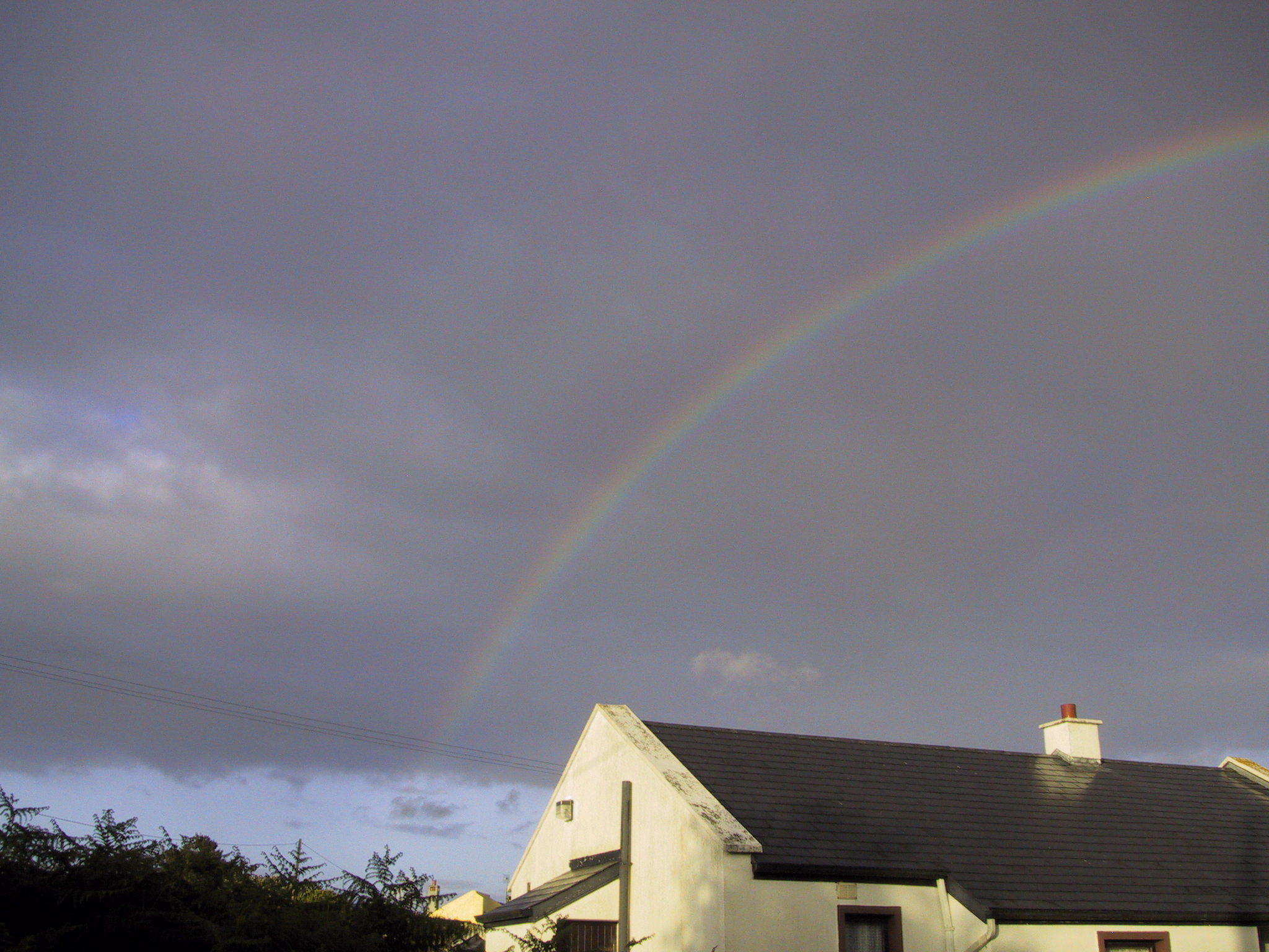 Barna rainbow