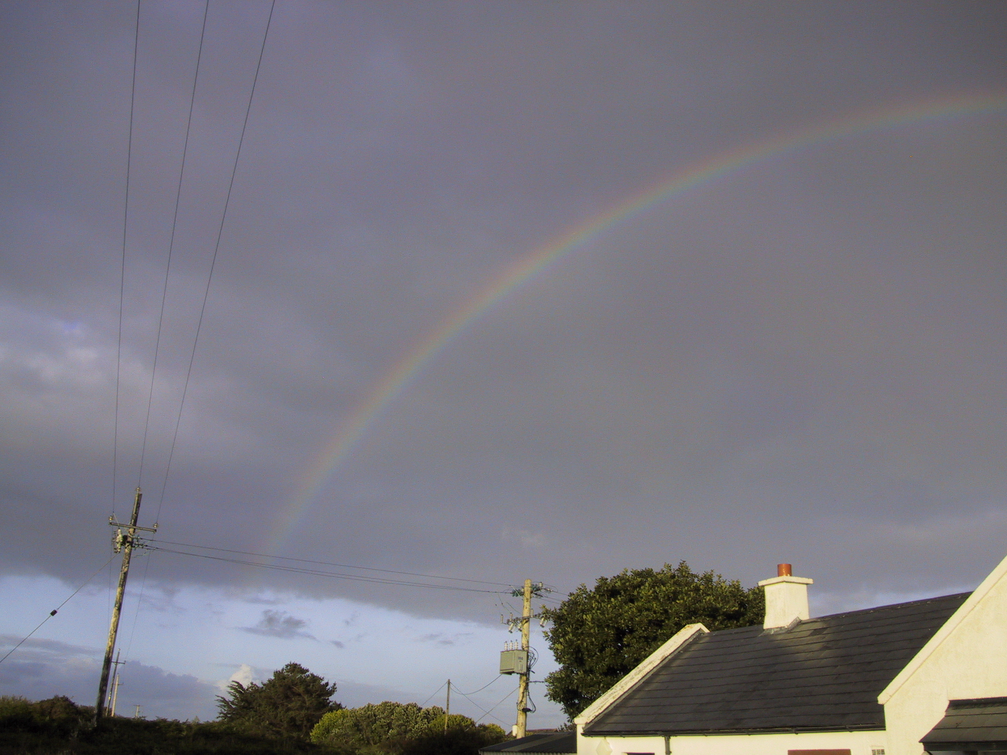 Barna rainbow