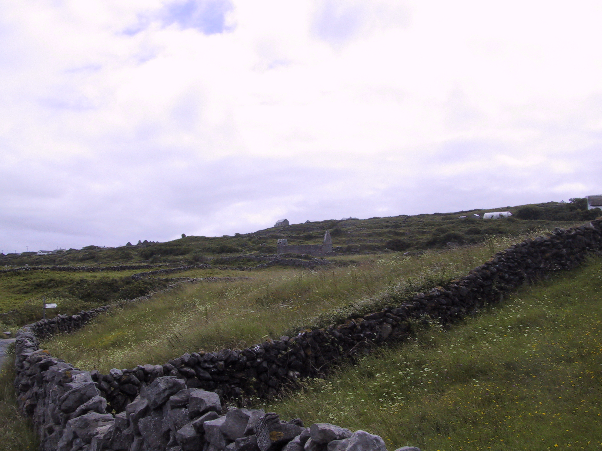 stone fences on Inis Mor