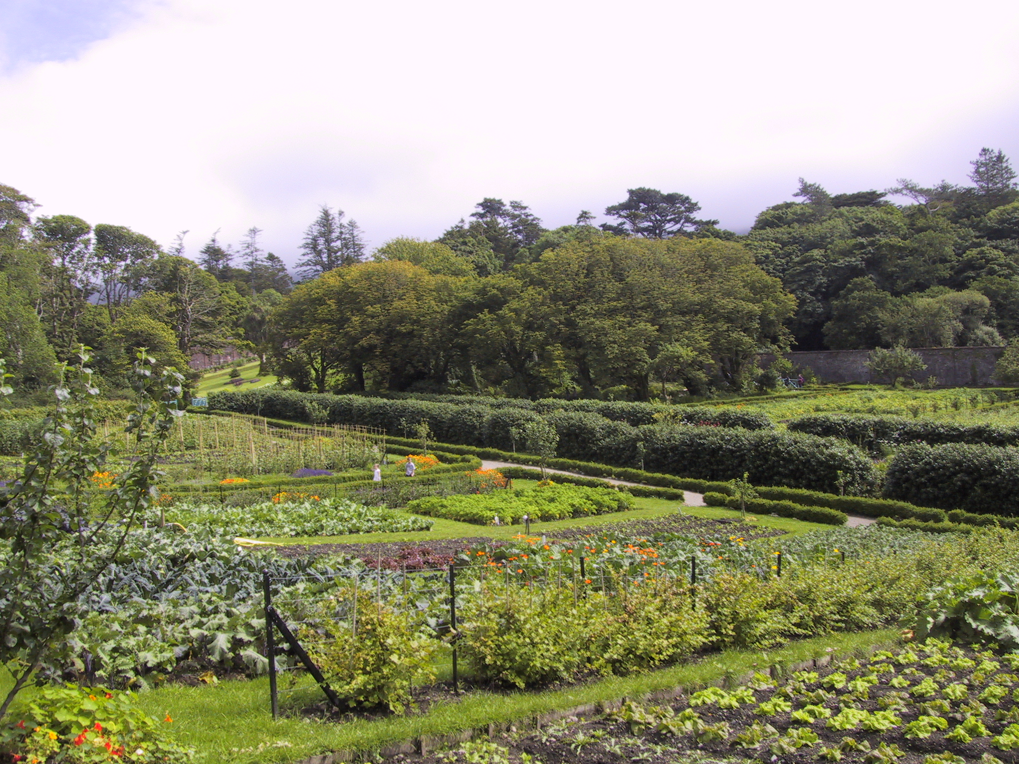 Victorian gardens of Kyelmore Abbey, Connemara, Co. Galway