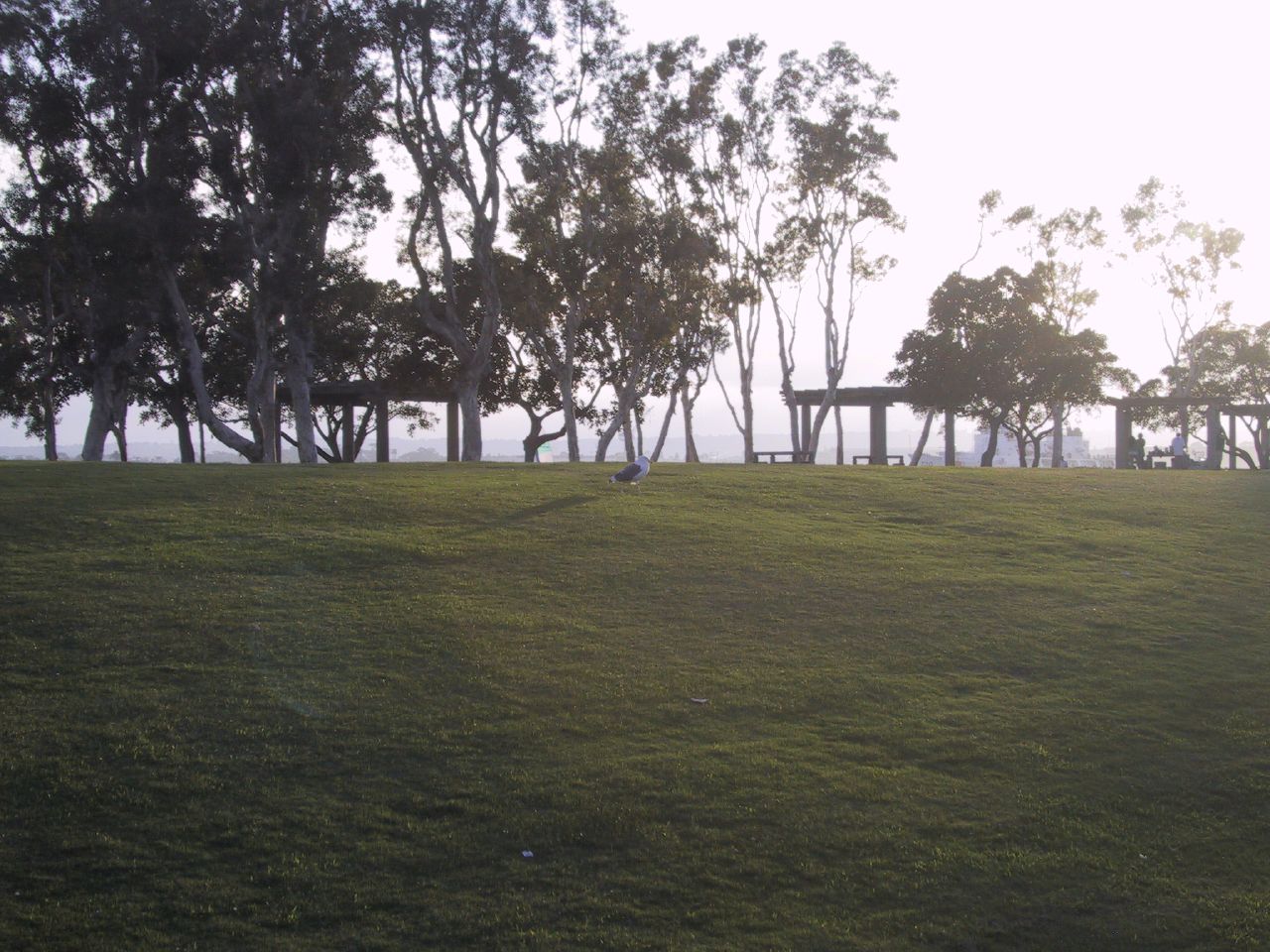 Embarcadero Park
