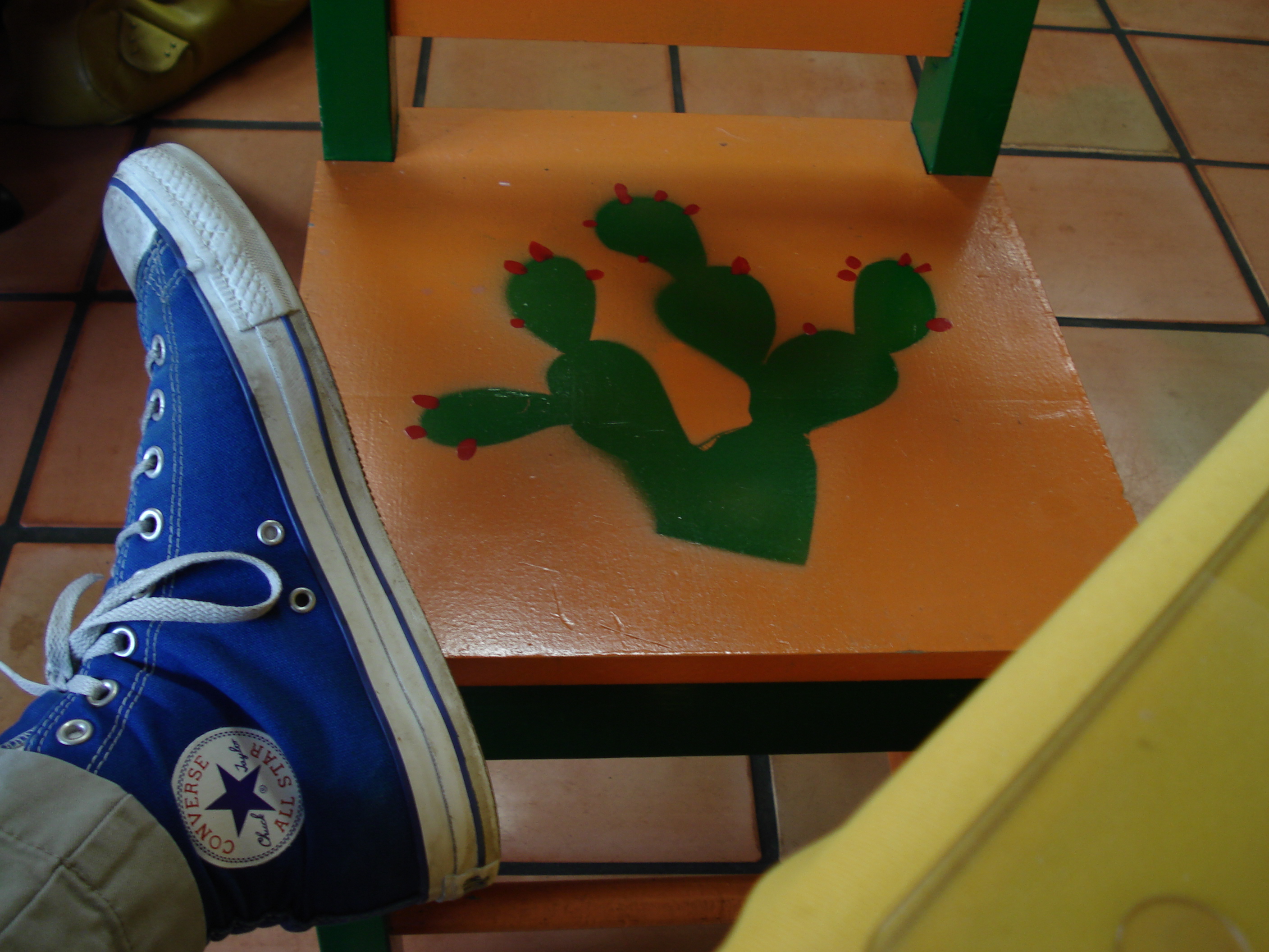 Still-life with nopales and converse