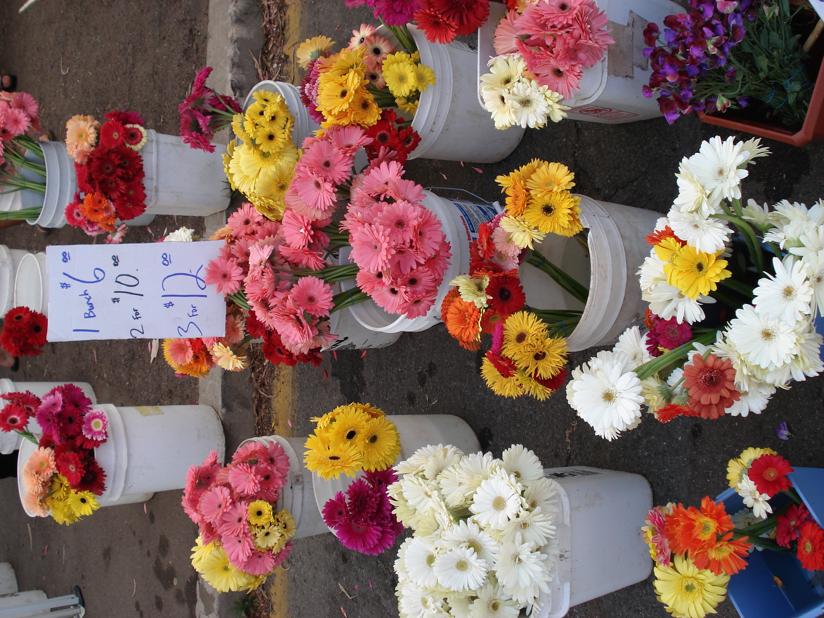 Flowers!