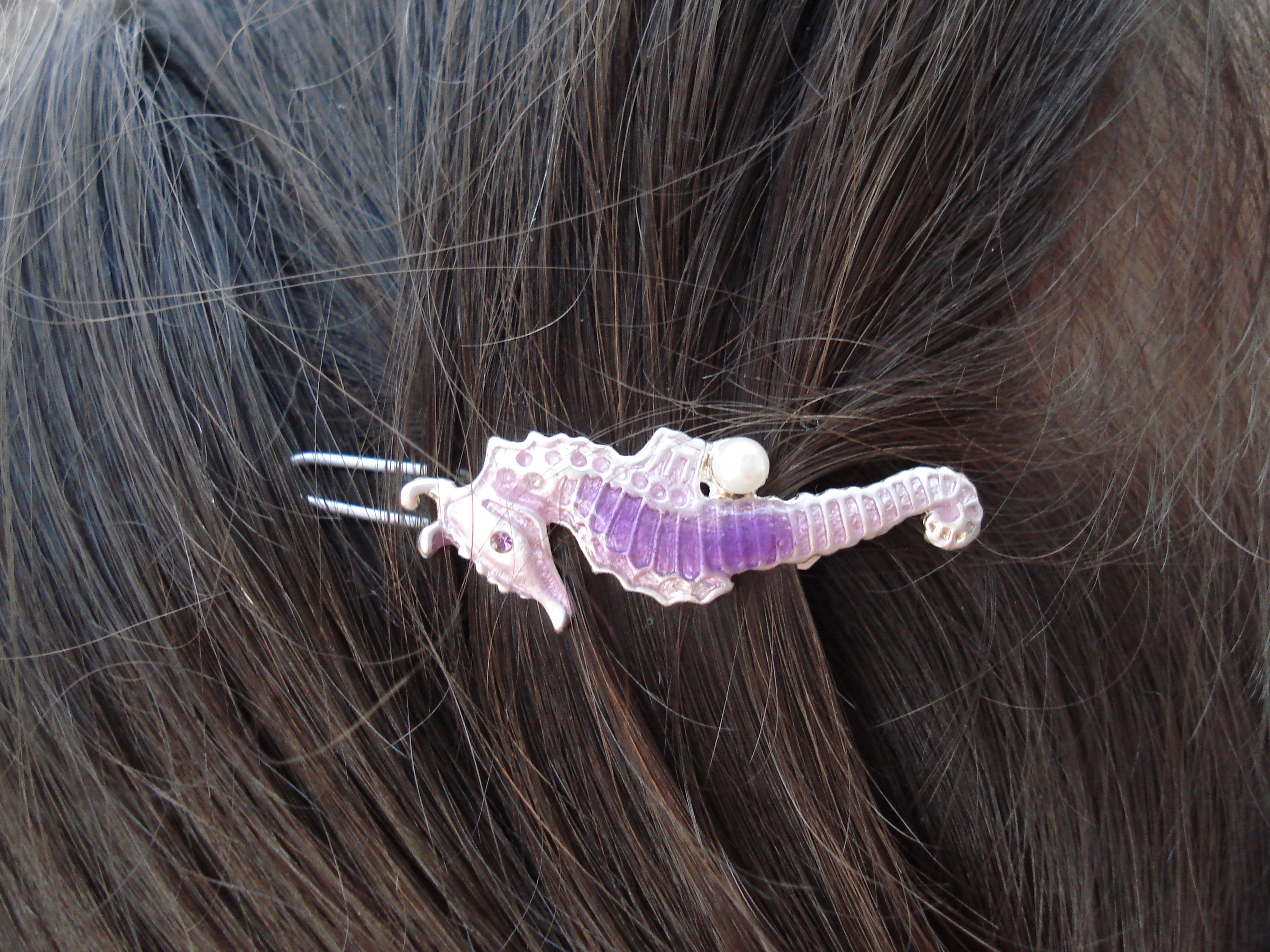 Erin's seahorse hair clip