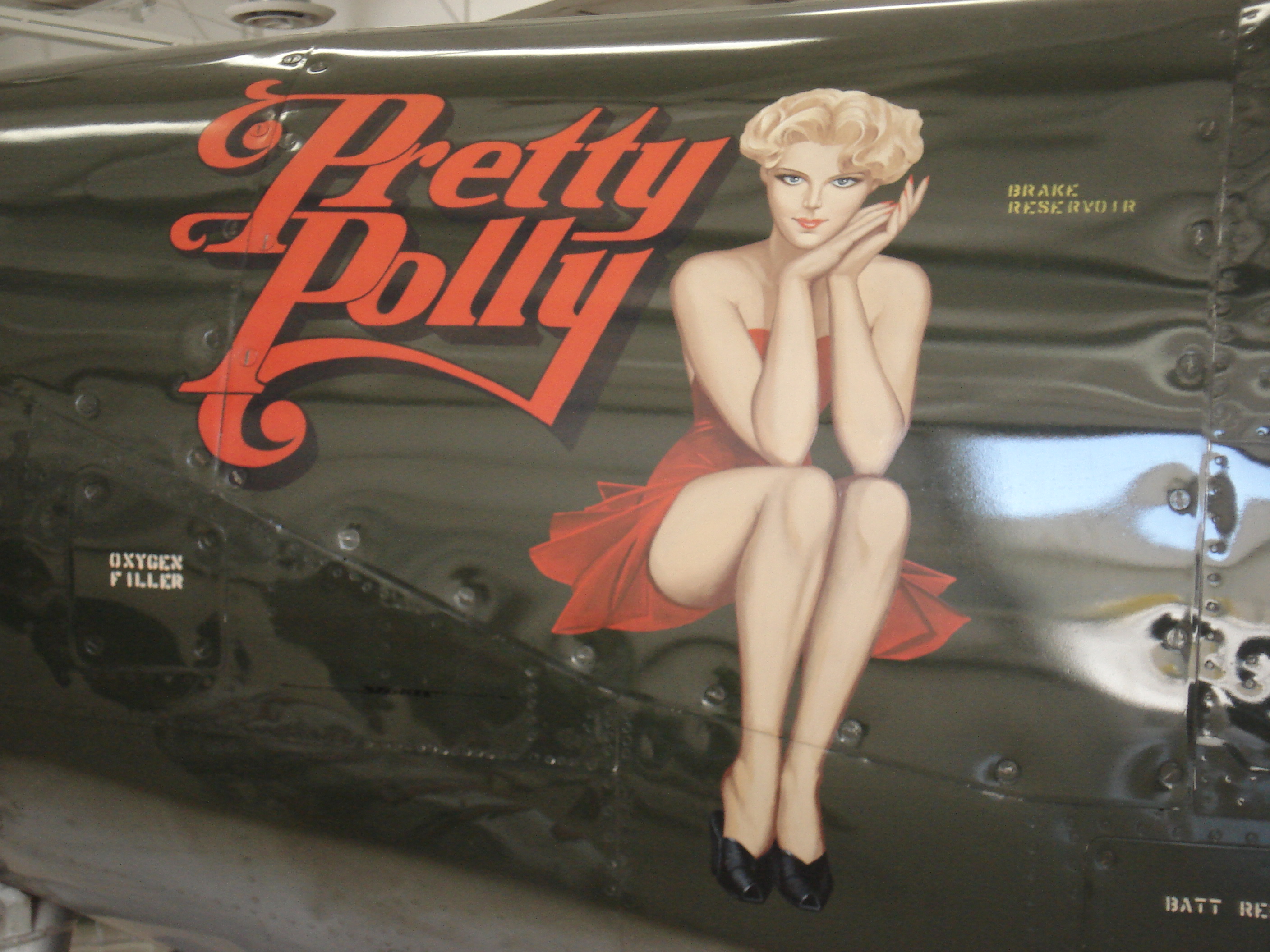 Pretty Polly
