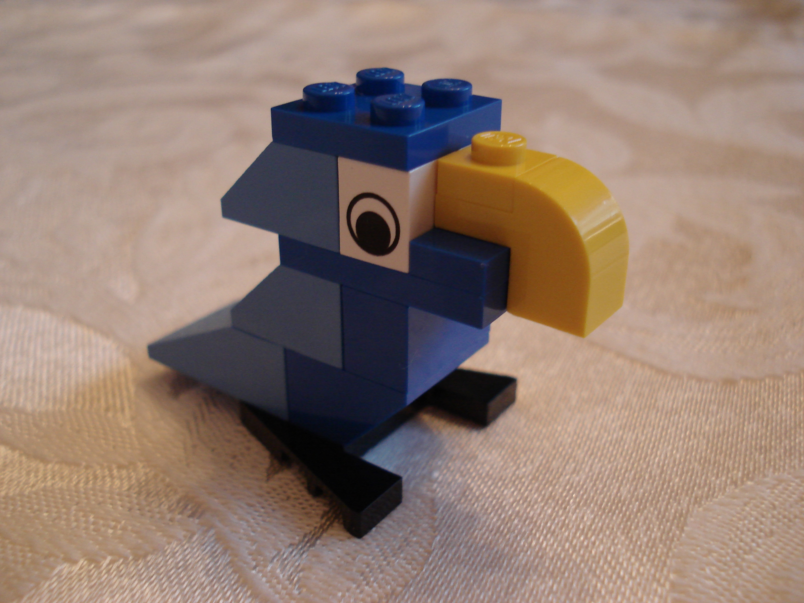 Decemebr 3rd: Cute bird