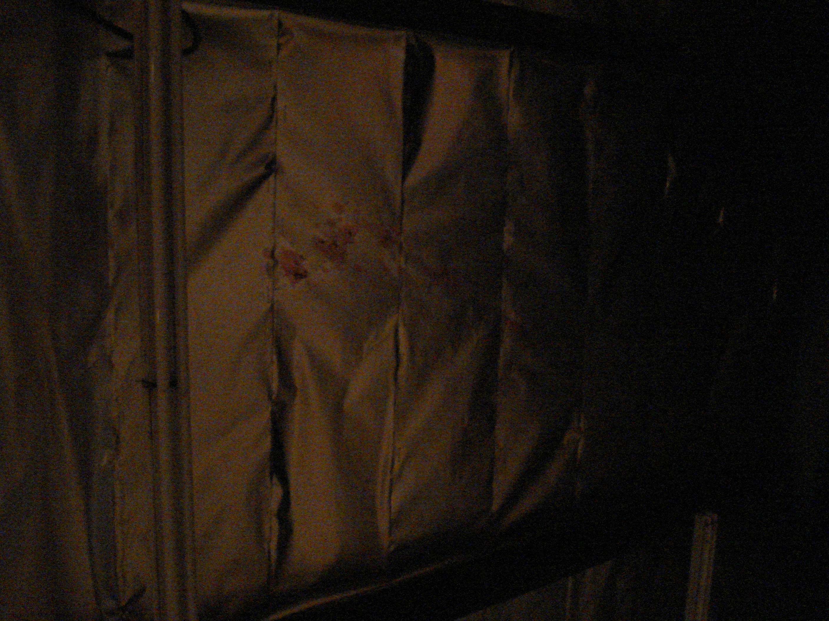 The ceiling, bloody from previous performances