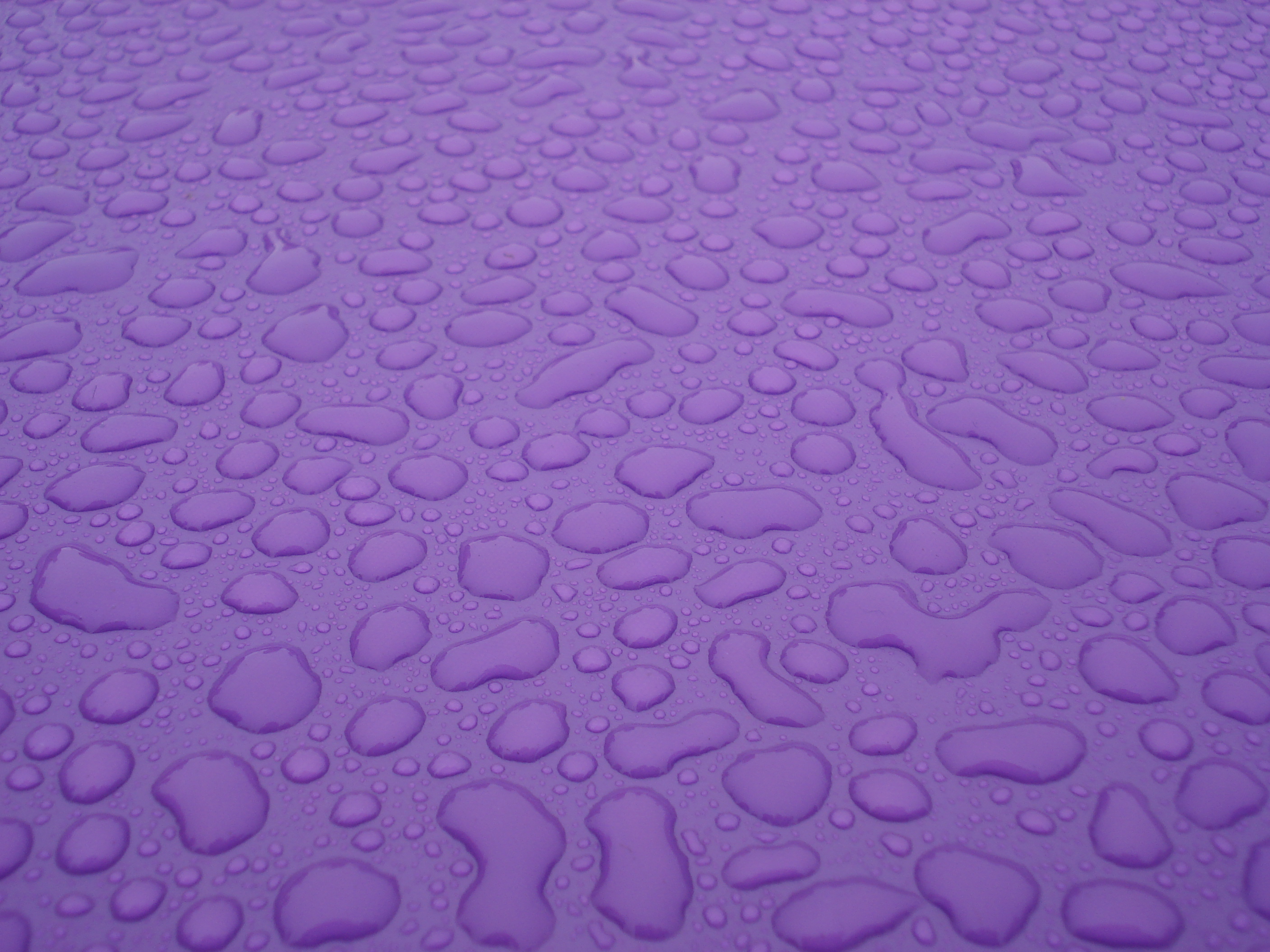 This one might make a good desktop background.
