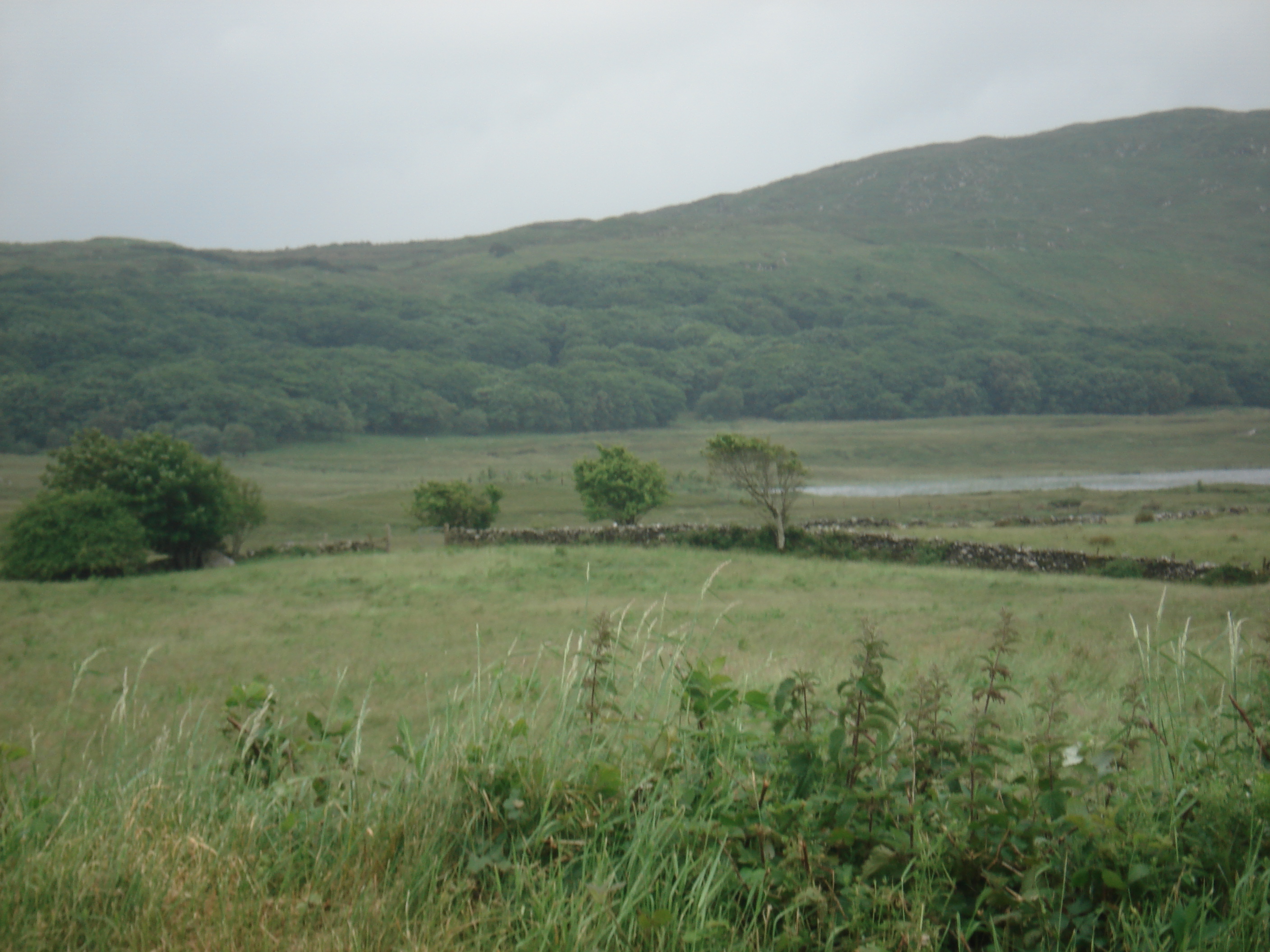 Mayo countryside