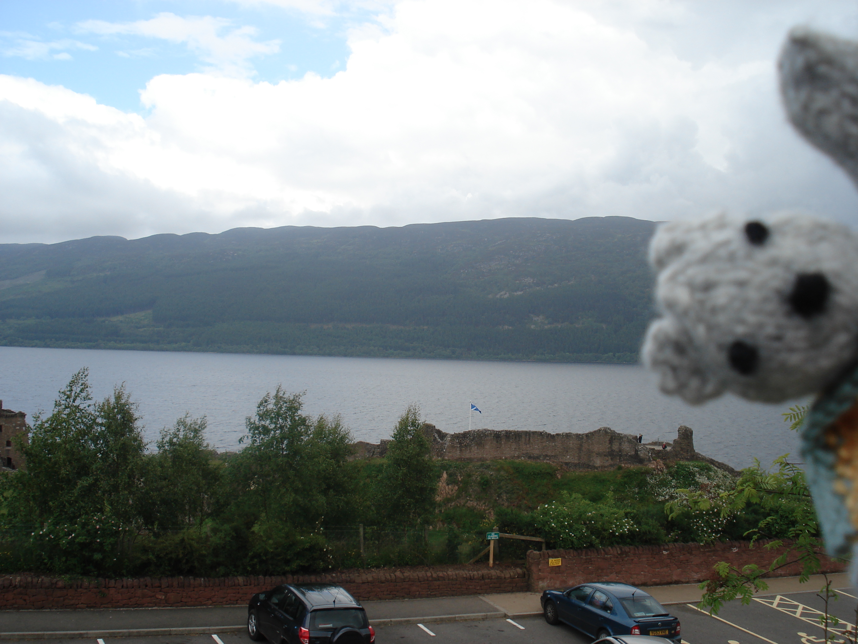 Is Oatmeal actually Nessie???