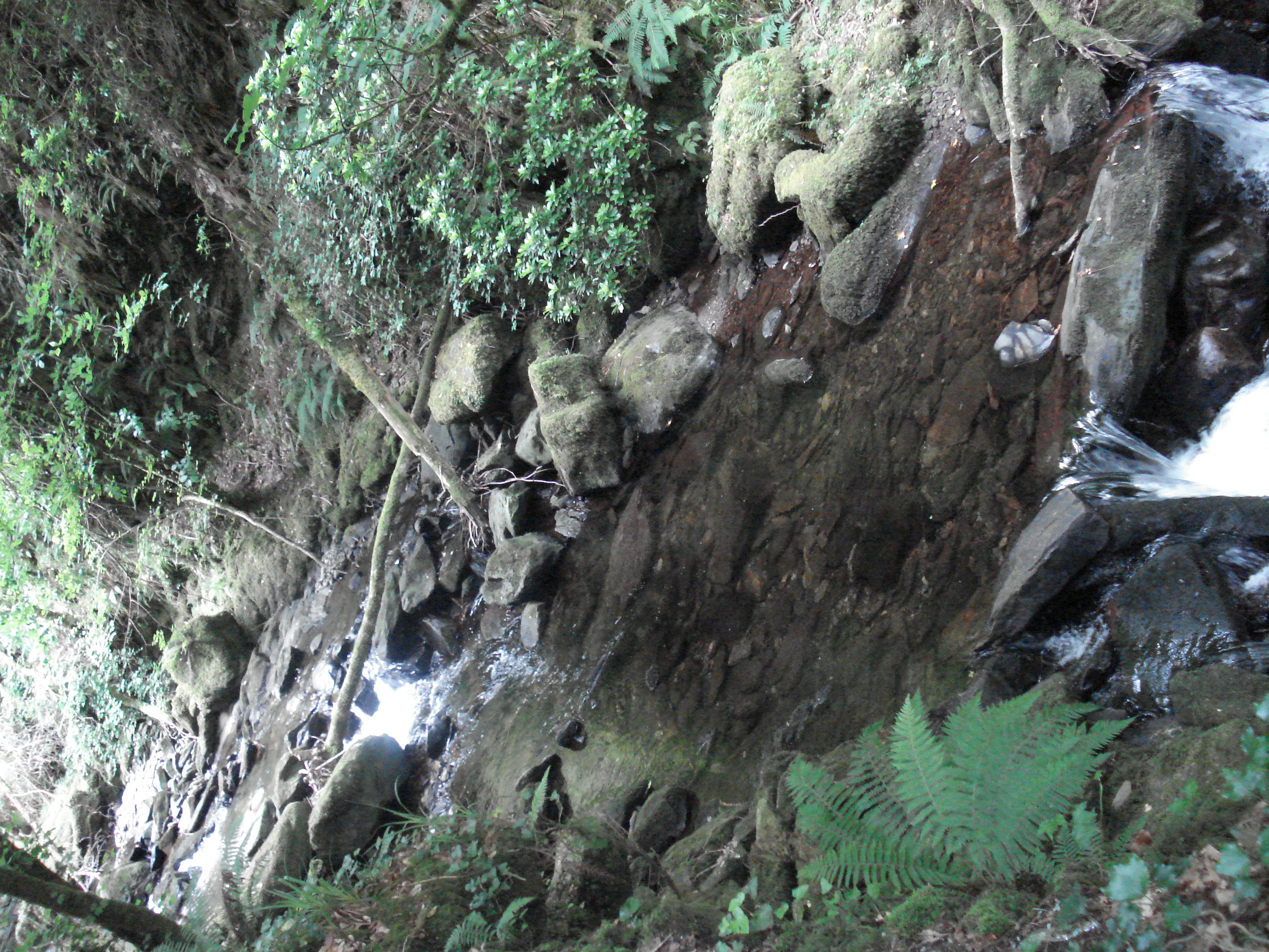 Torc Waterfall's stream