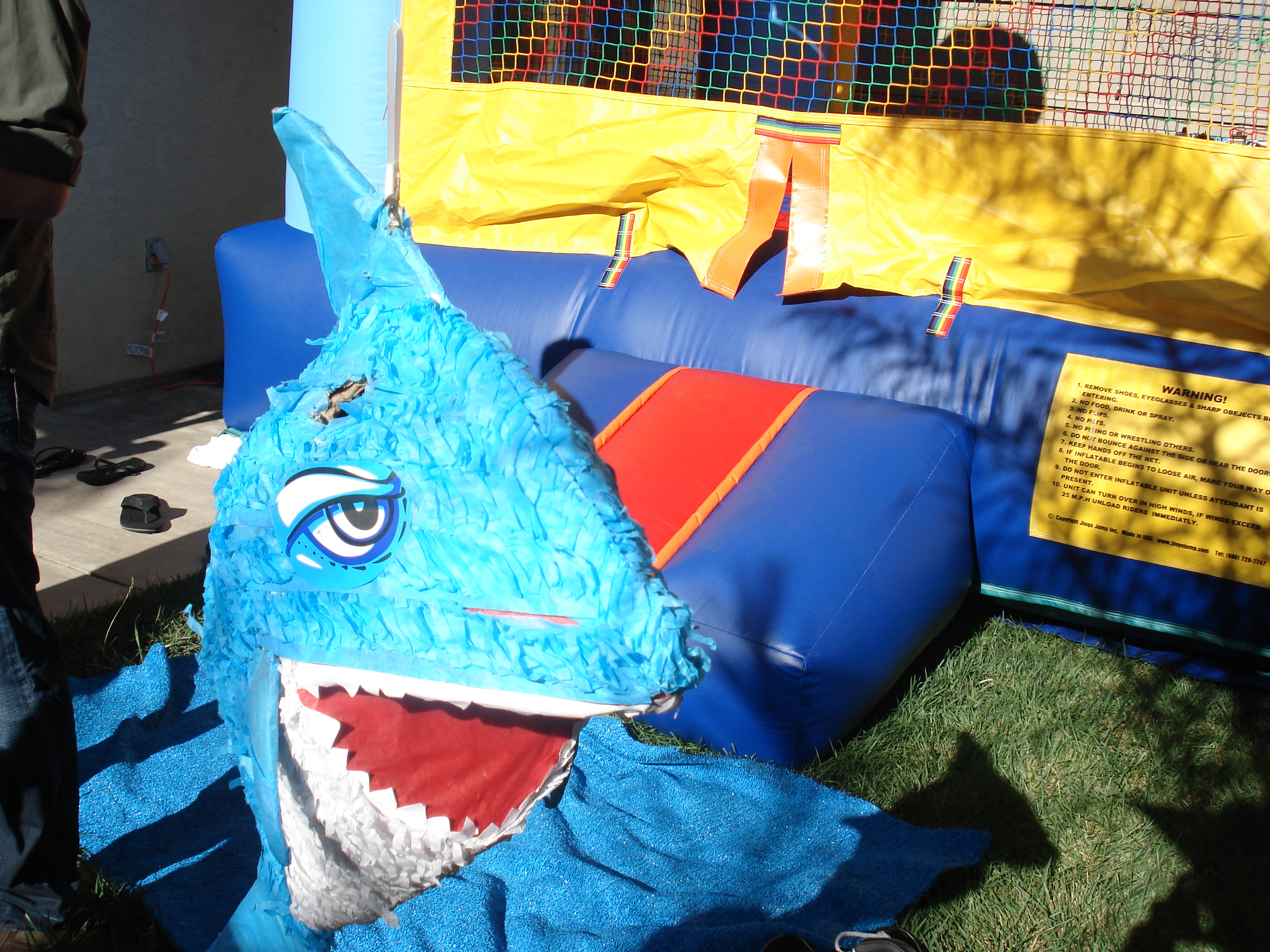 Shark Piñata w/ bounce house
