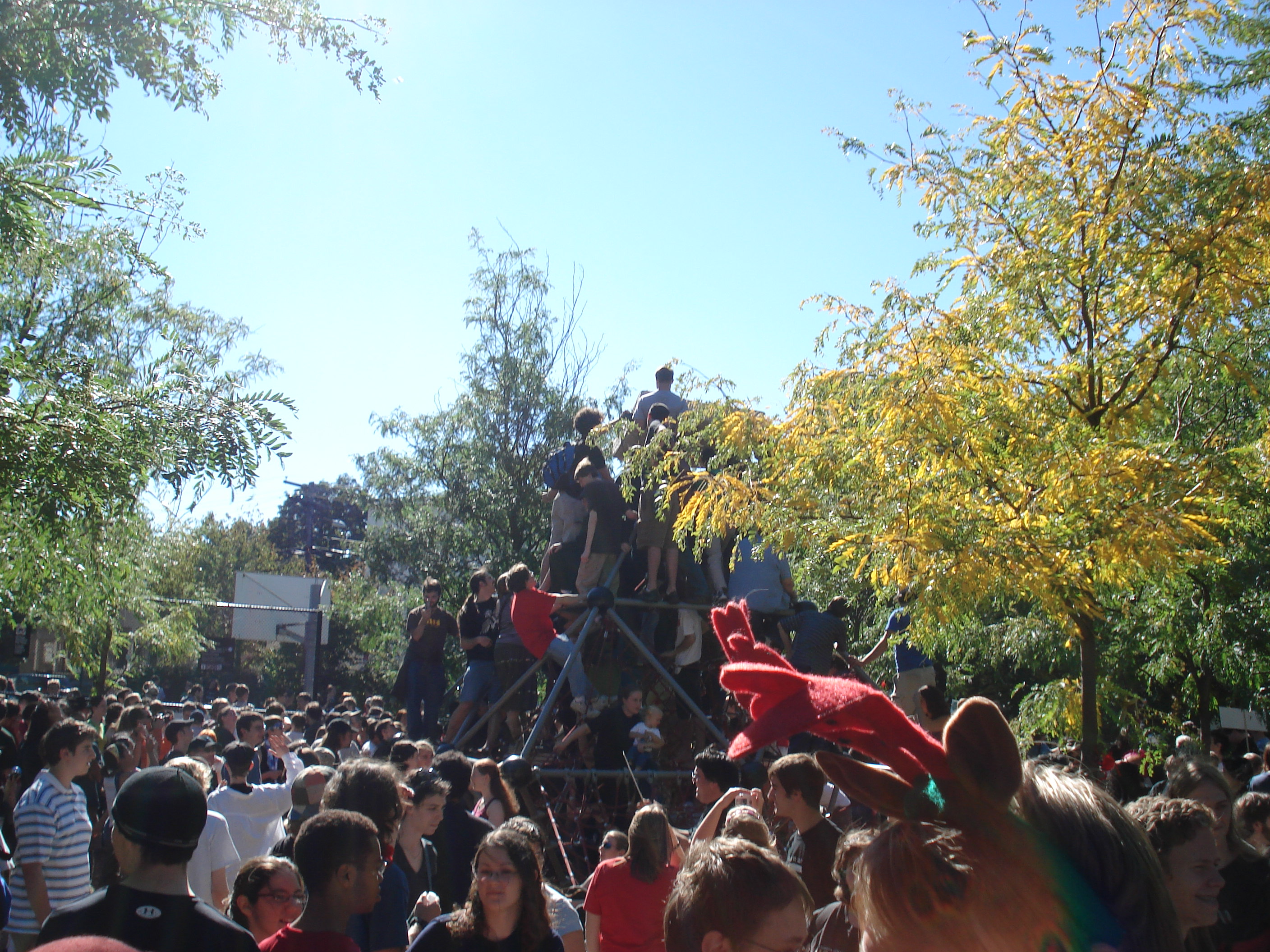 Climbing the play structure
