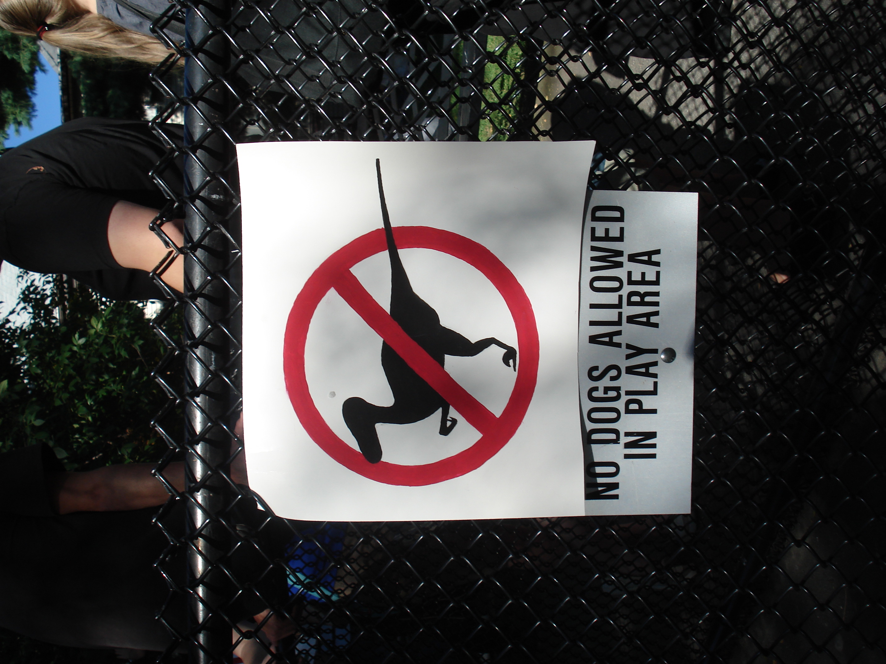 No raptors allowed in play area