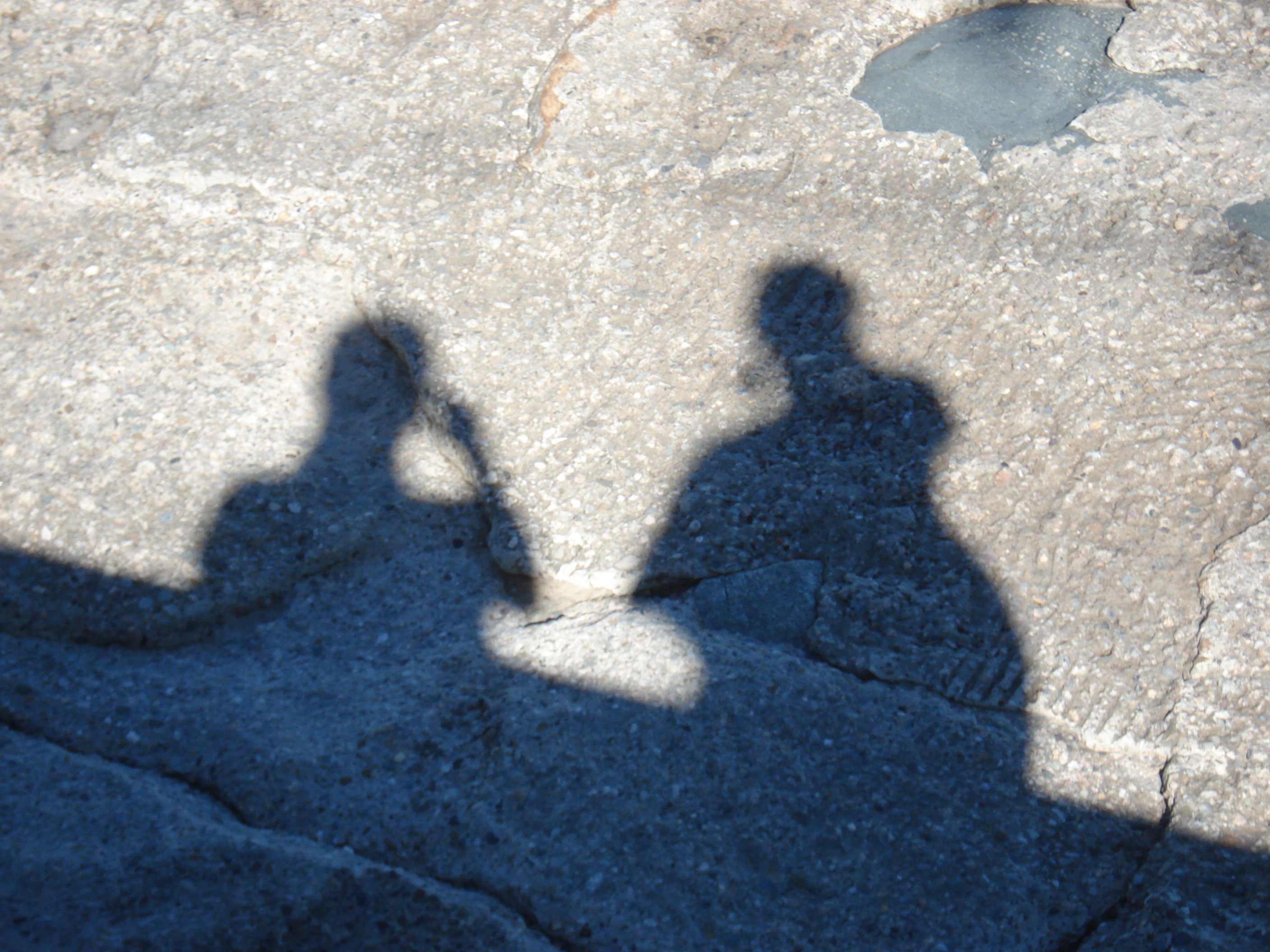 From the seawall