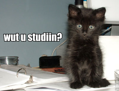 Created with <a href="http://wigflip.com/roflbot/">roflbot</a>, of course.