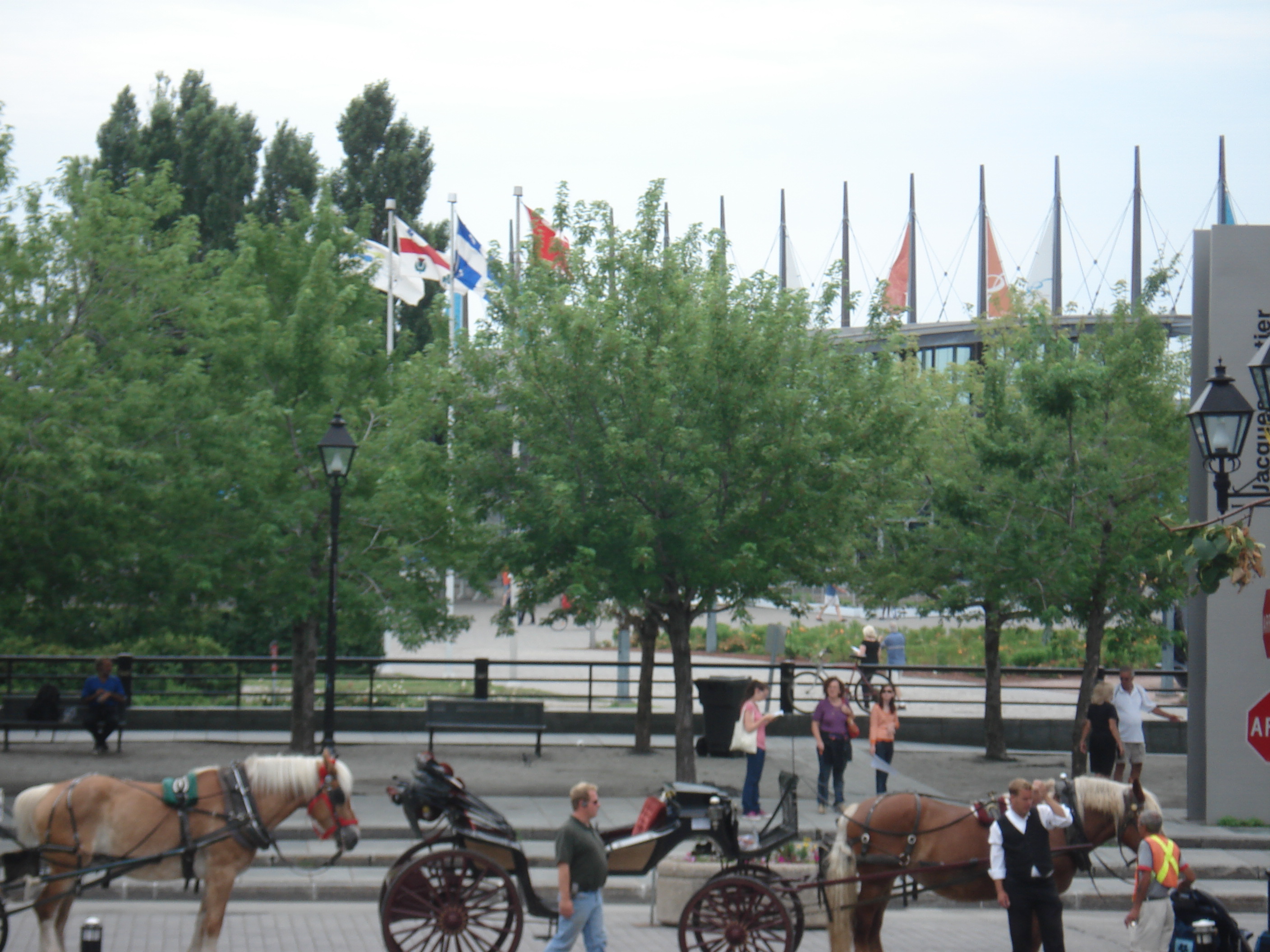 DSC05220
