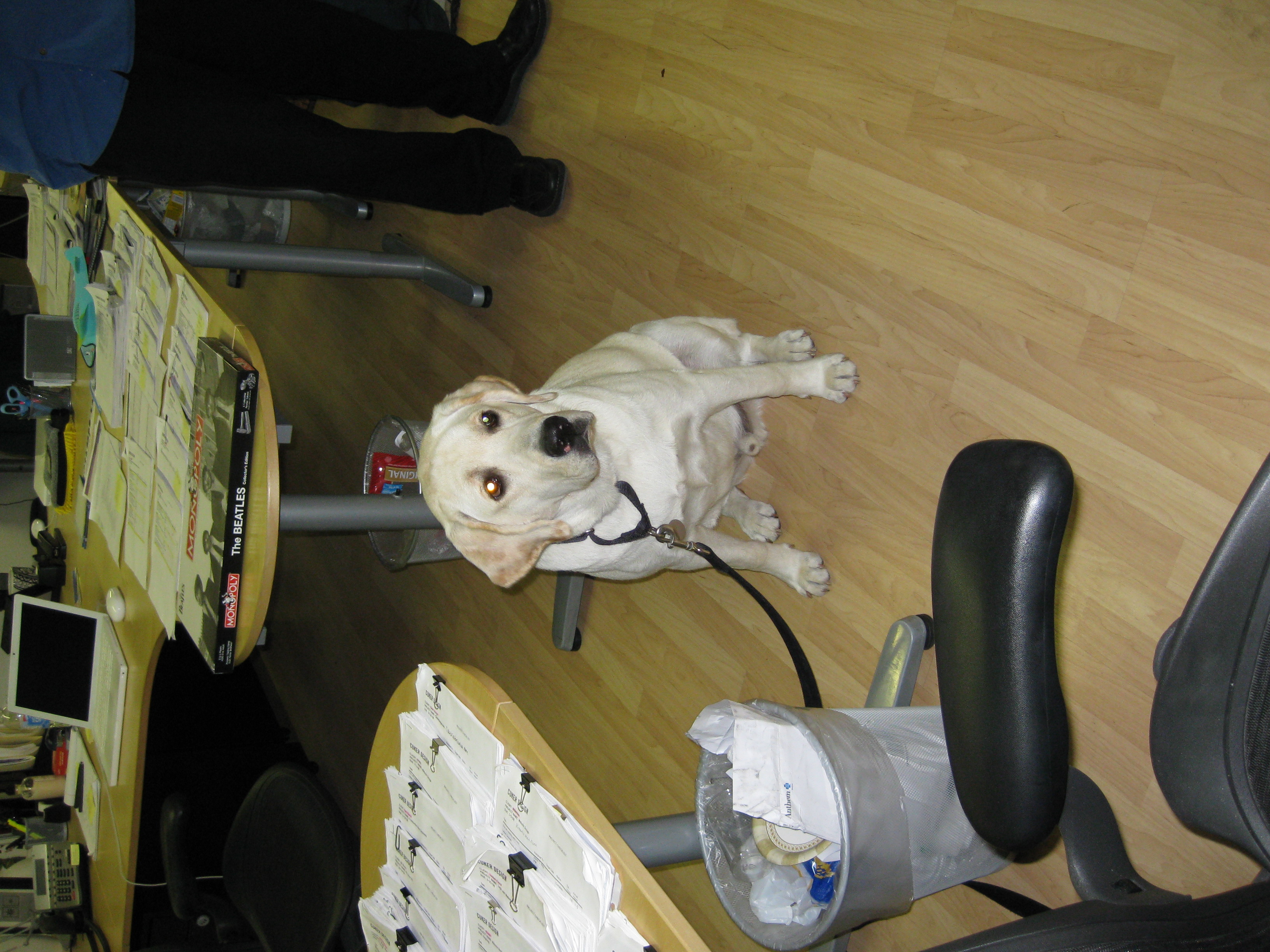 Cuker's doggie