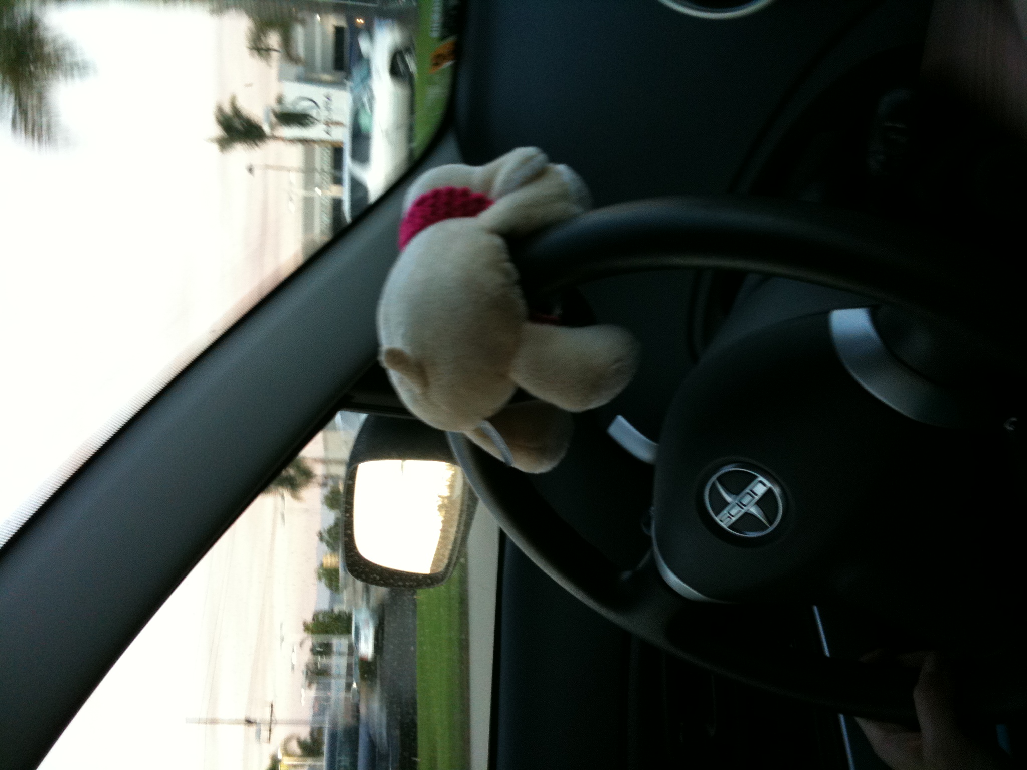 Sheepie driving home from Stone