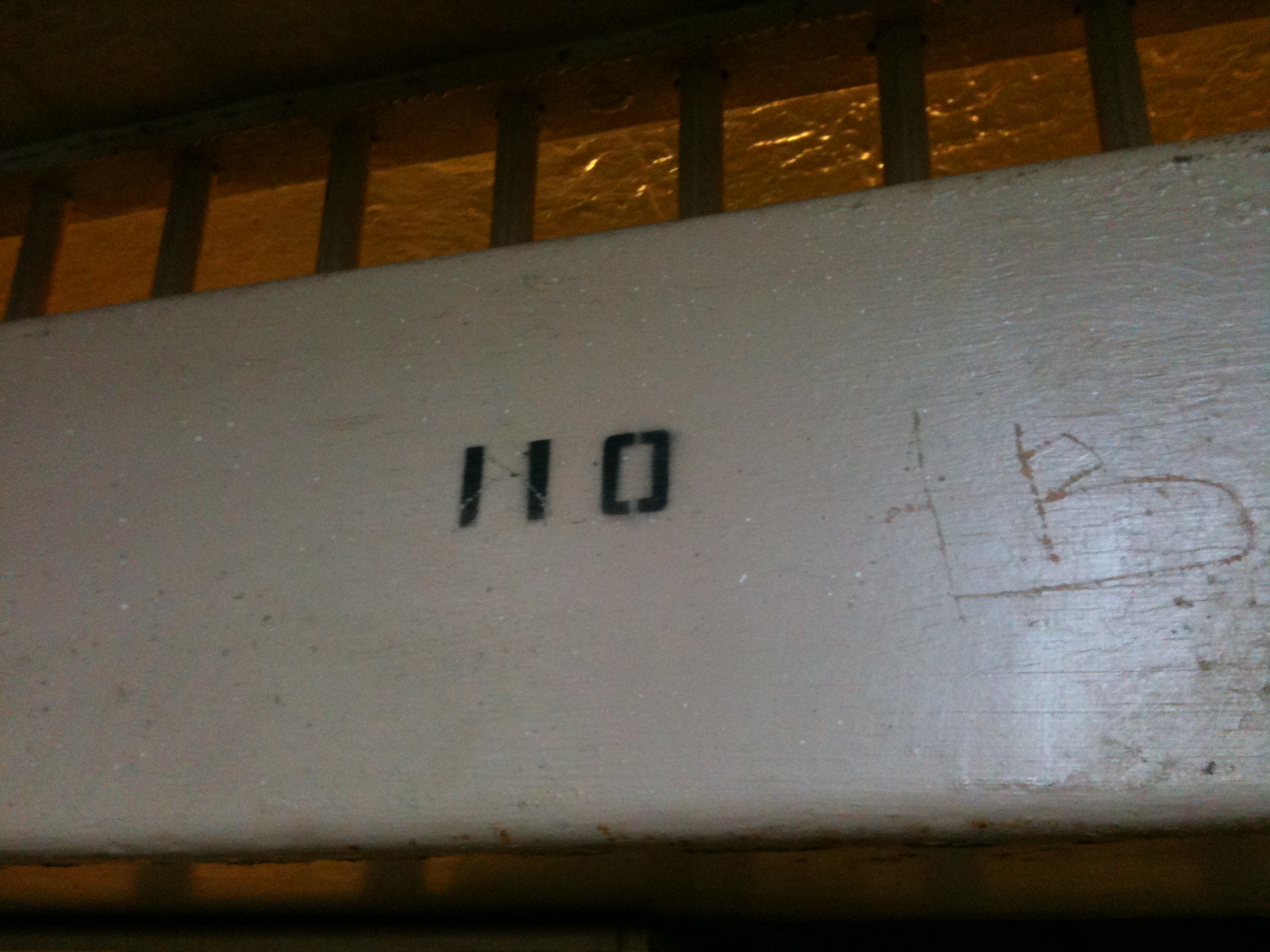 Cell 110