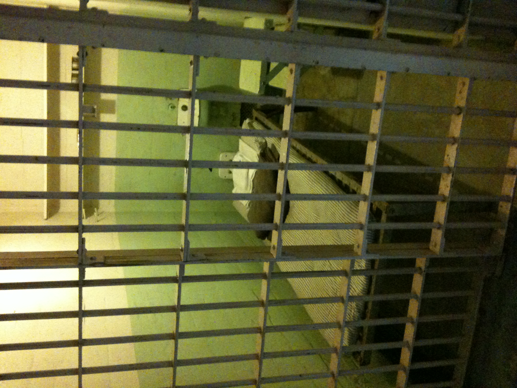 Cell