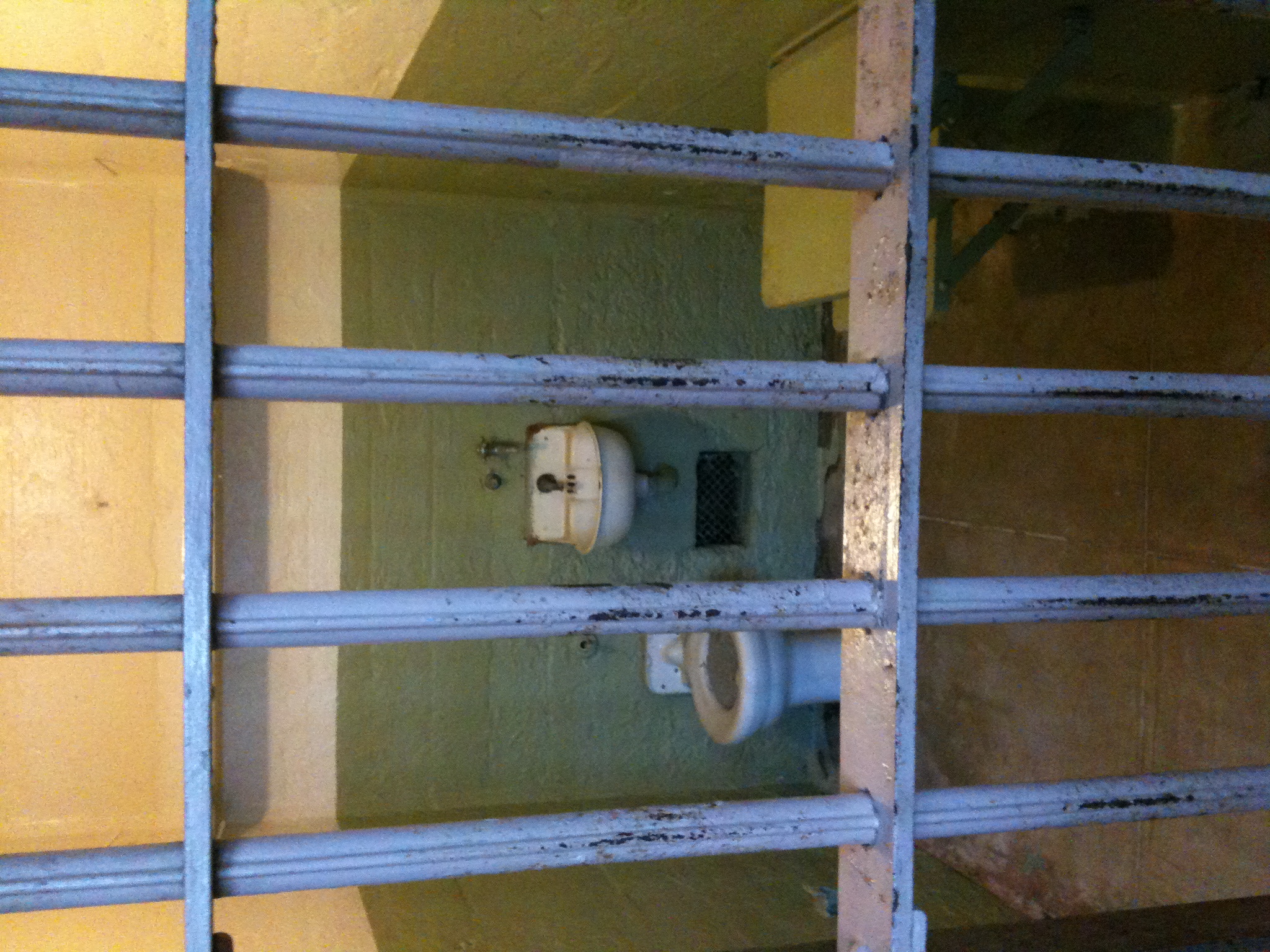 Cell
