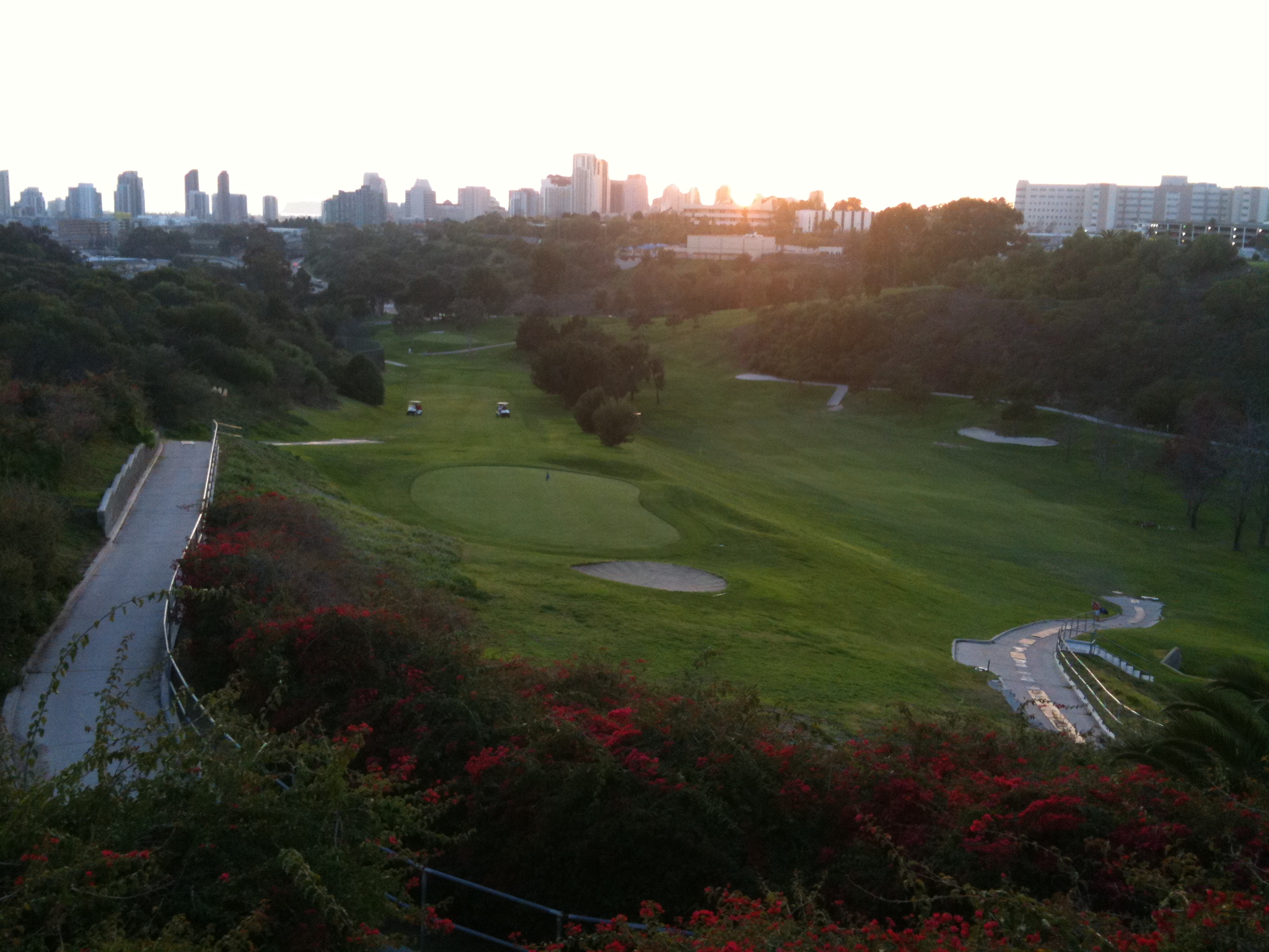 The view from Tobey's