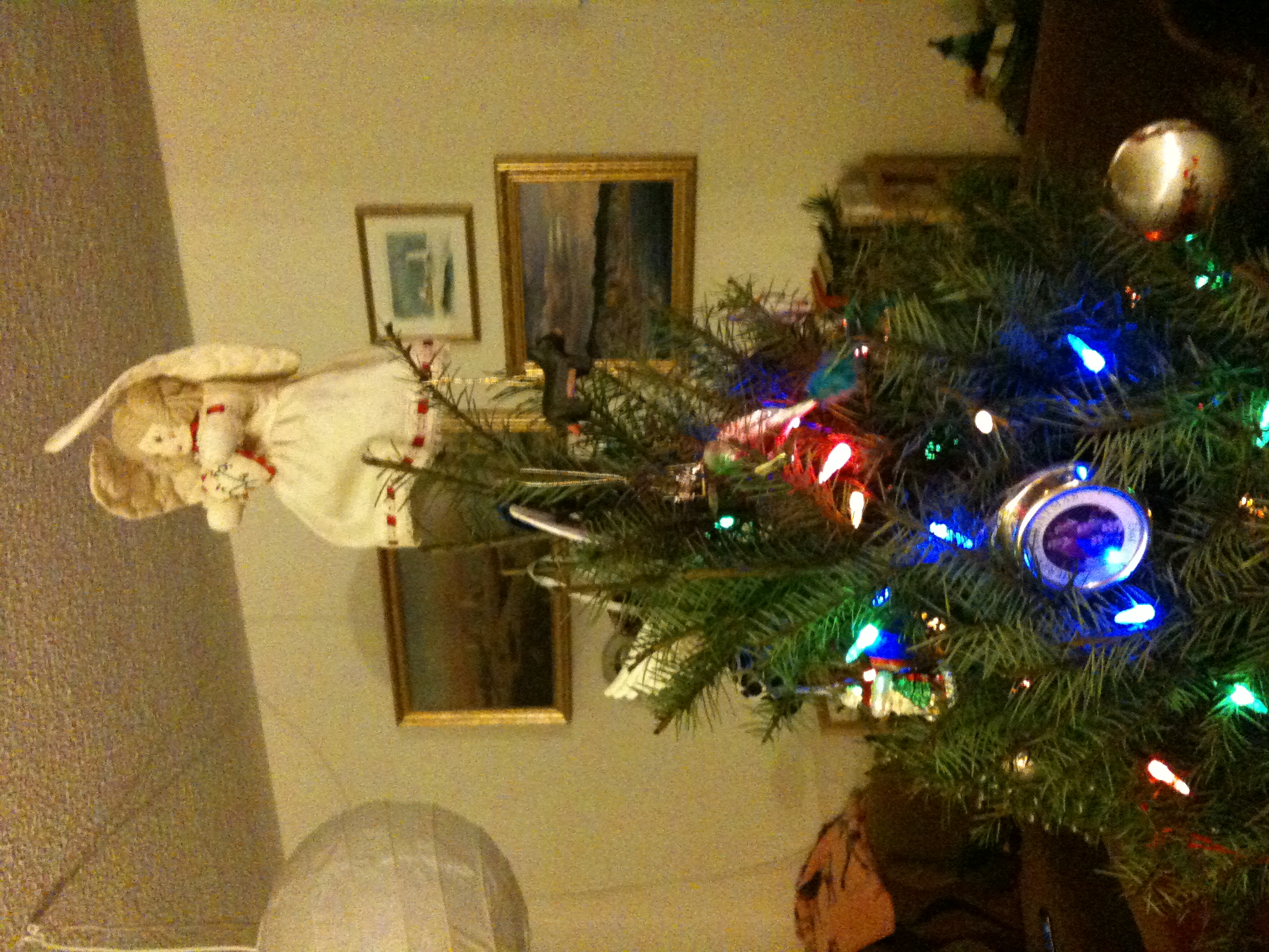 O'Connor Christmas Tree 2009