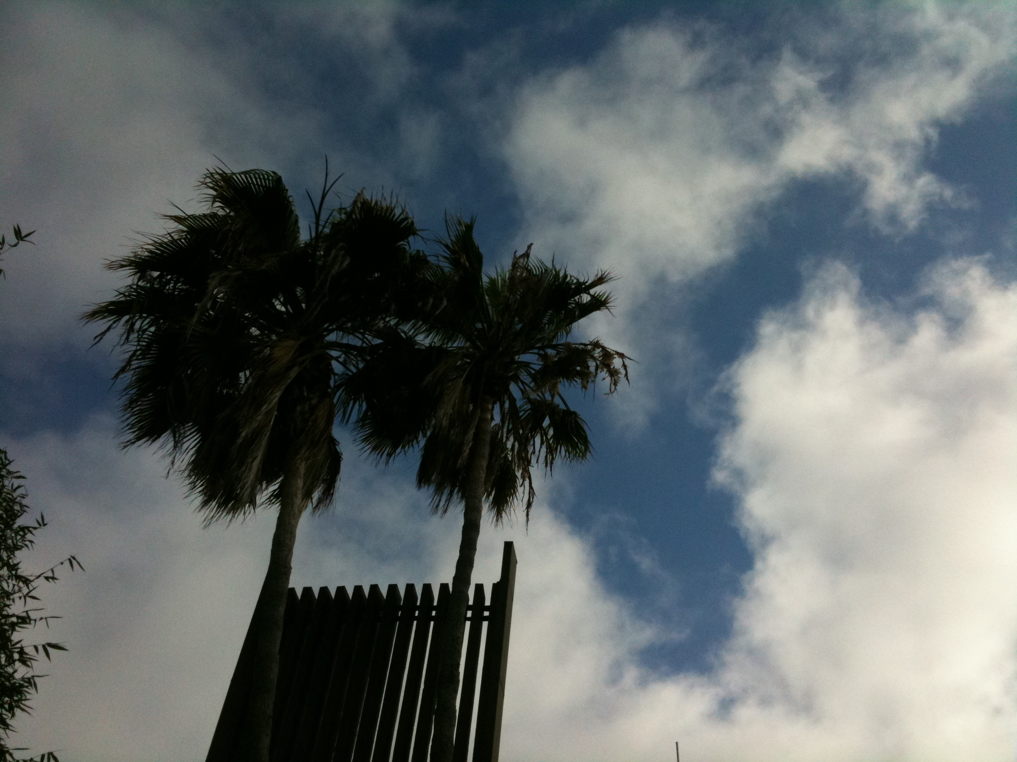 View from the chaise