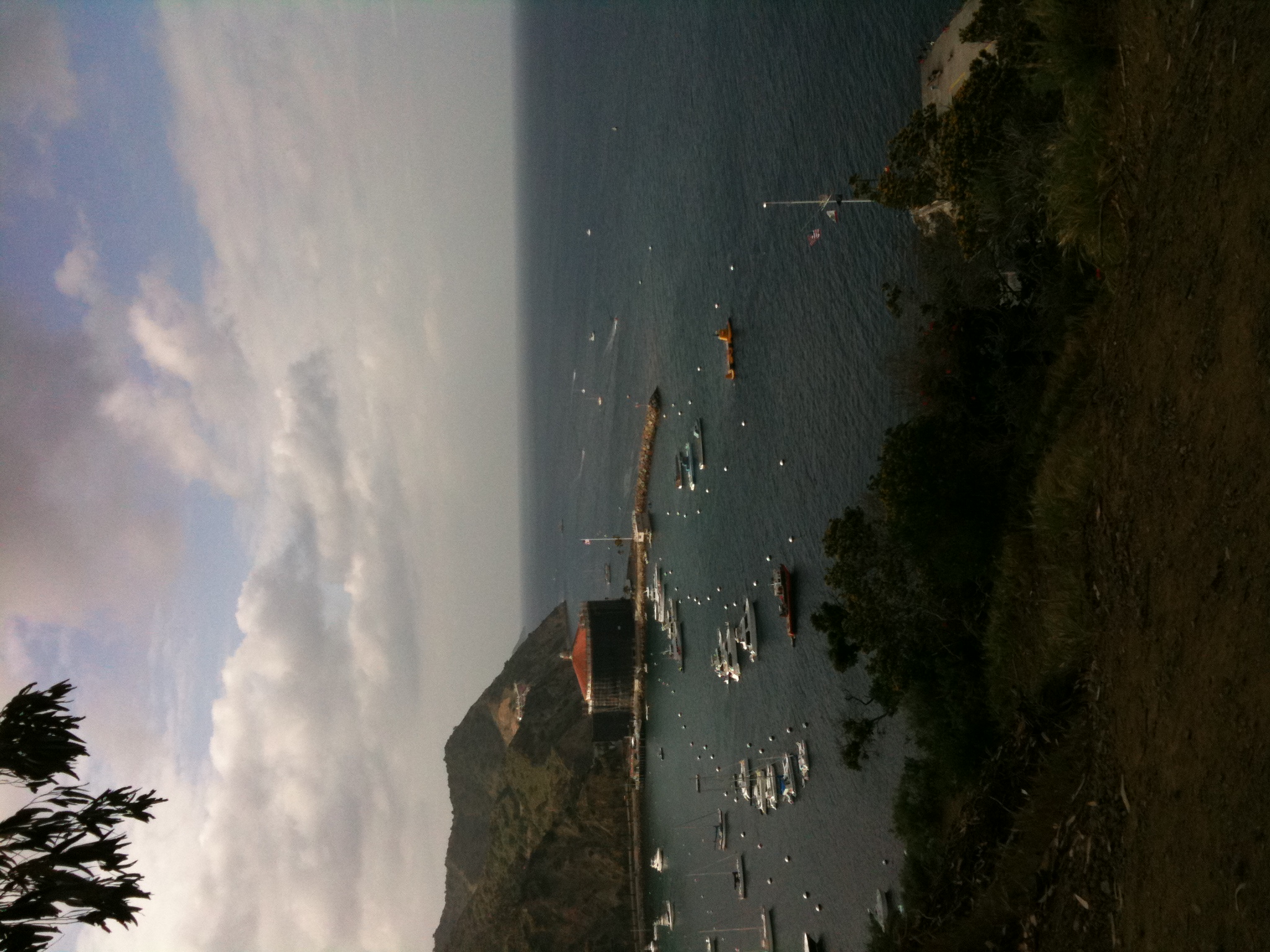 Catalina