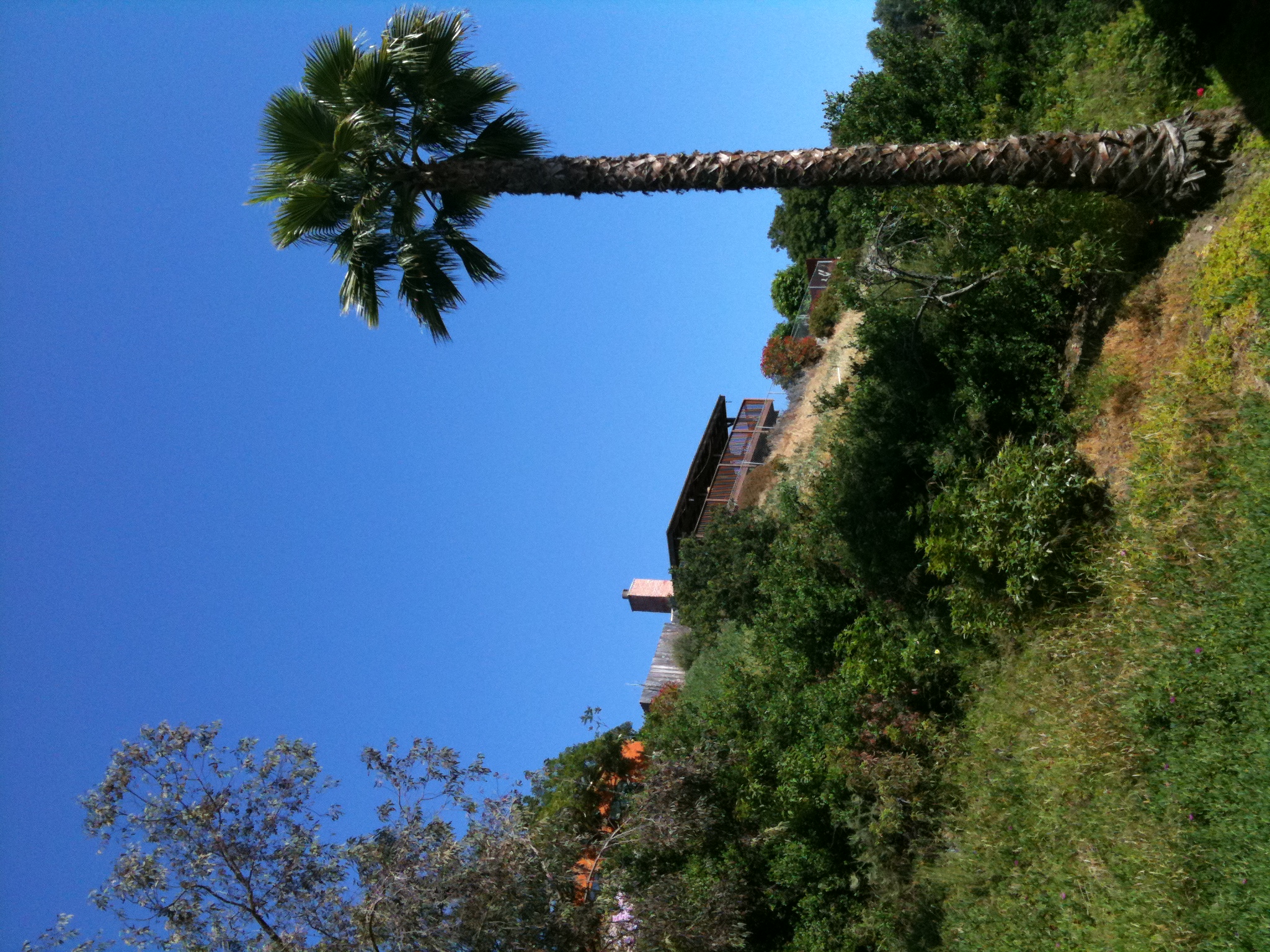 View from our back patio
