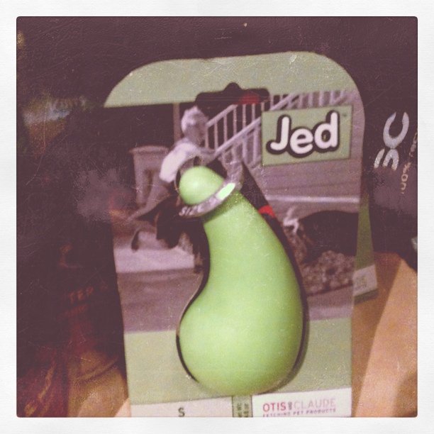 Jed