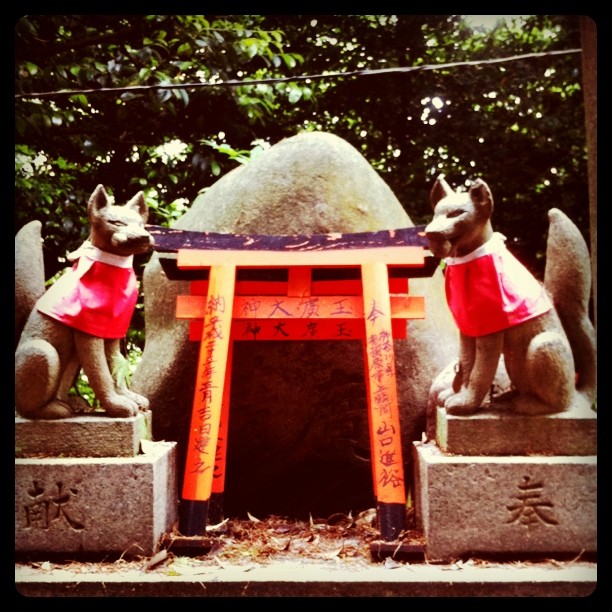 Two kitsune guardians with red bibs flank a vermillion torii gate.