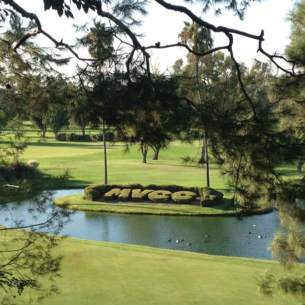 The Mesa Verde Country Club