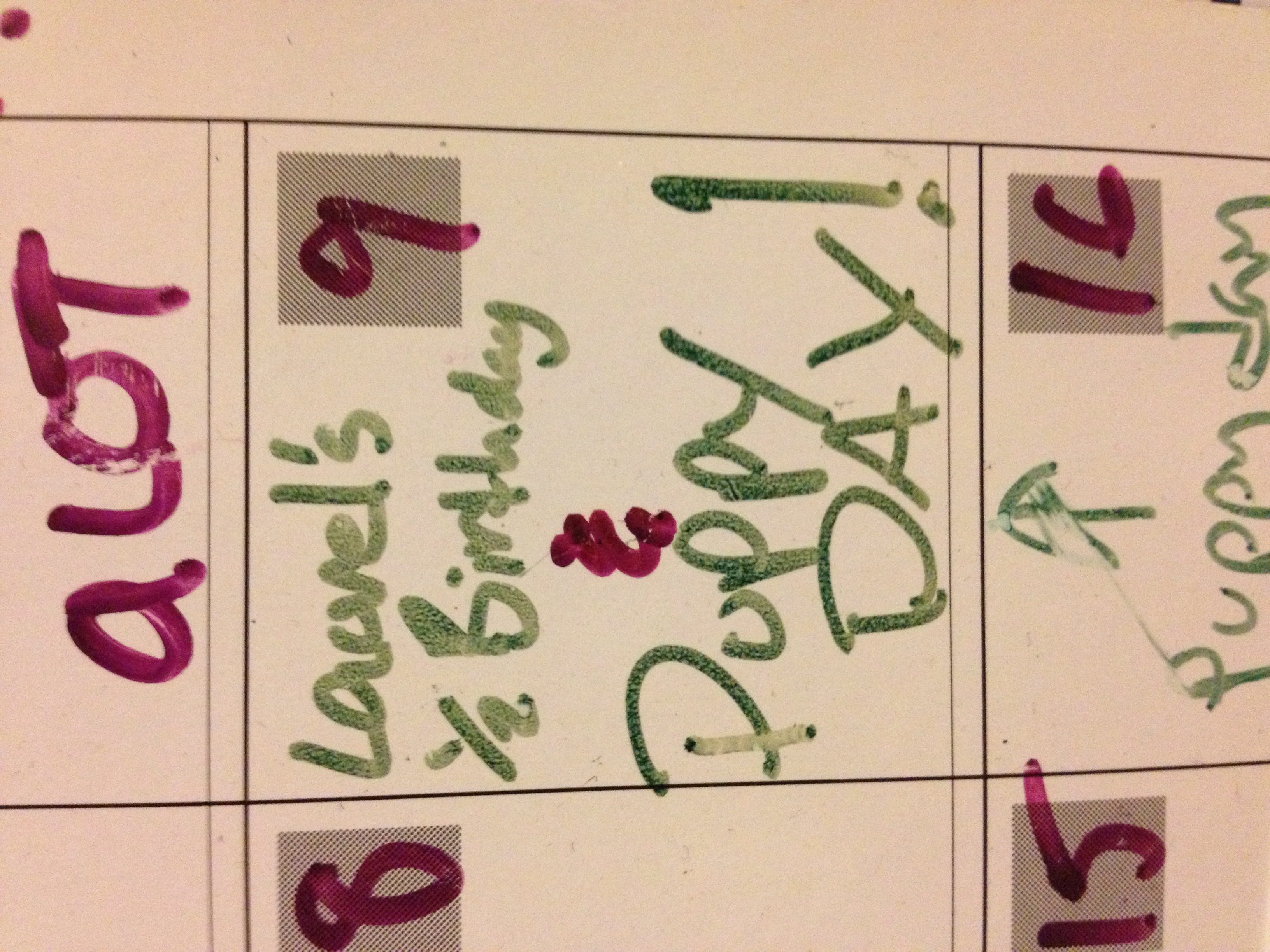 Laurel's ½ birthday and puppy day!