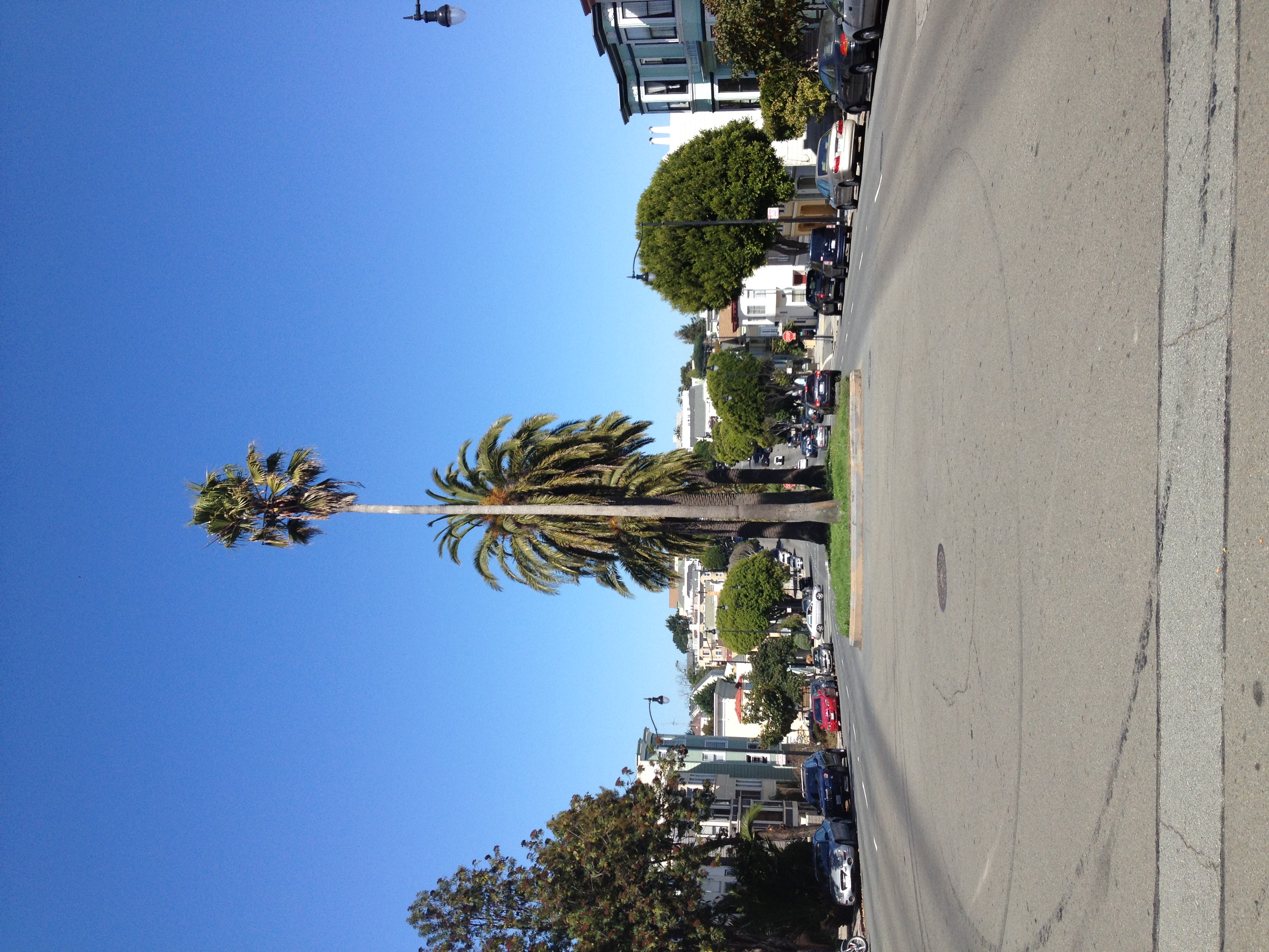 Dolores St.