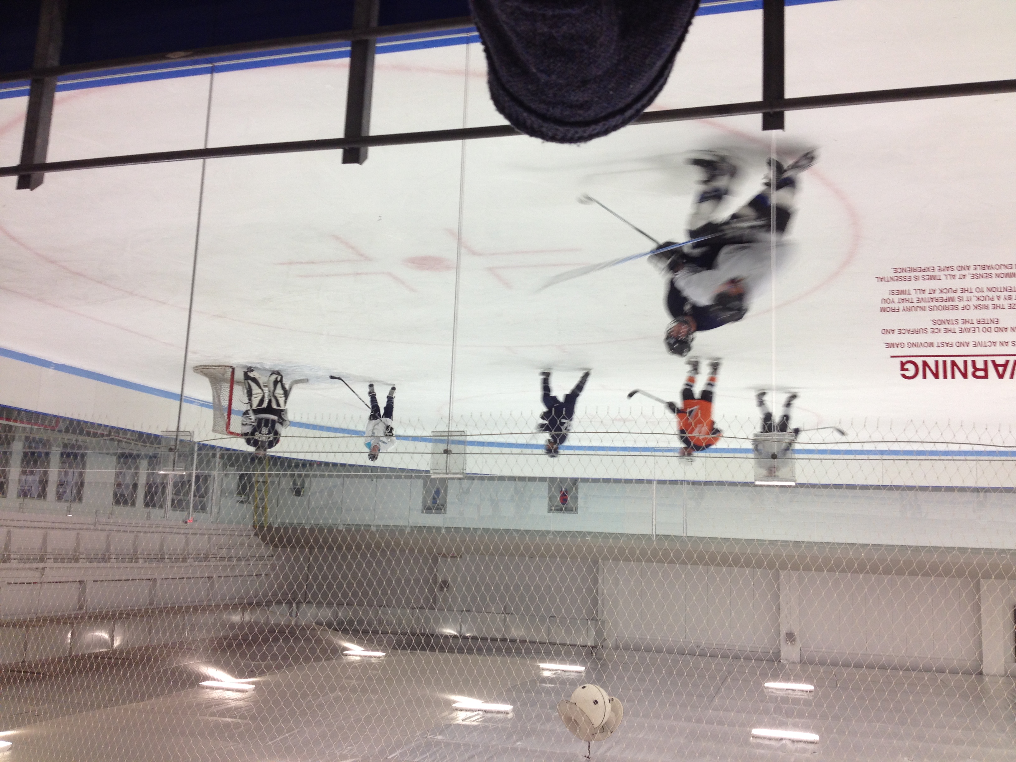 Vying for the puck