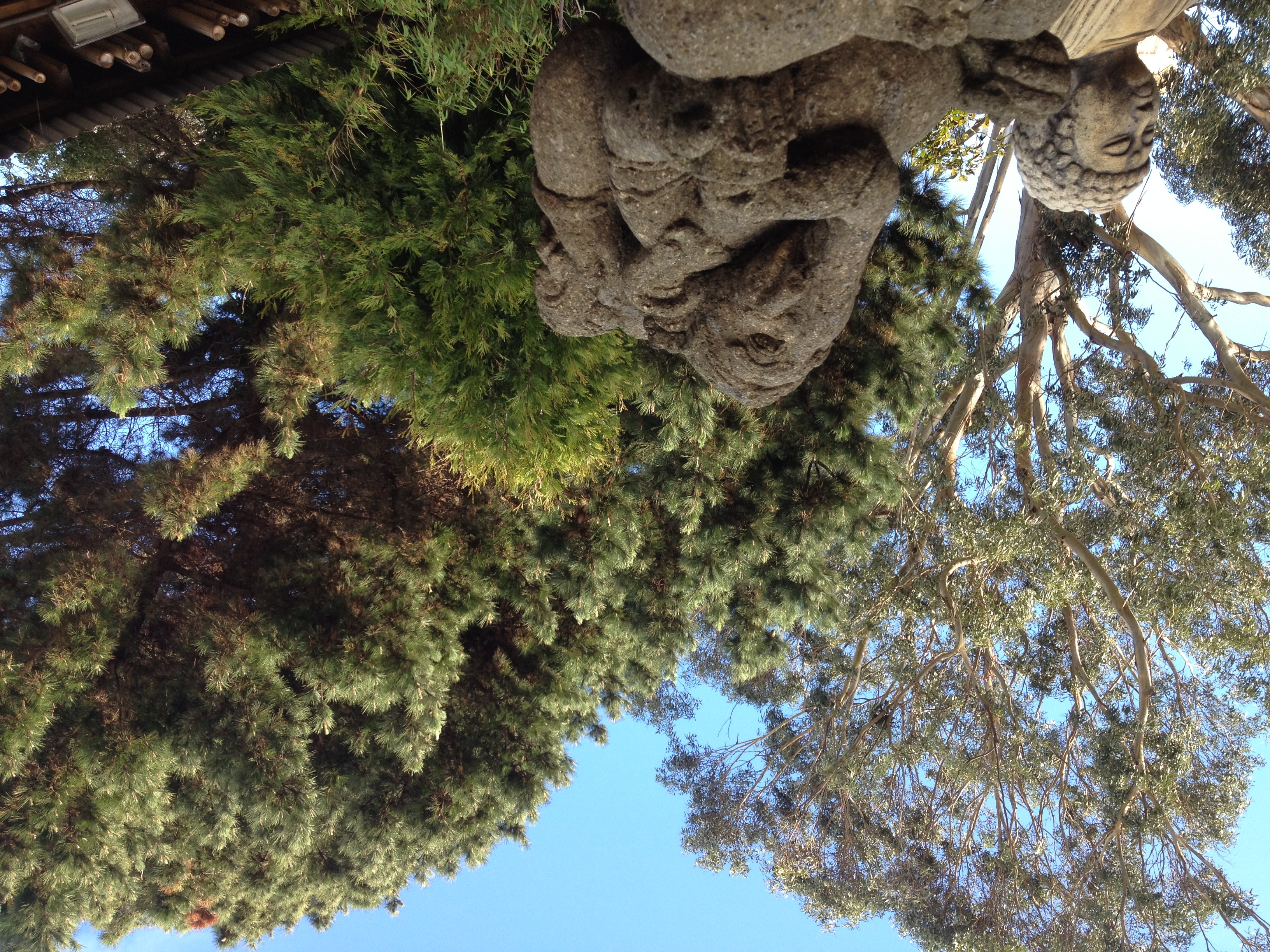 Where in SF?