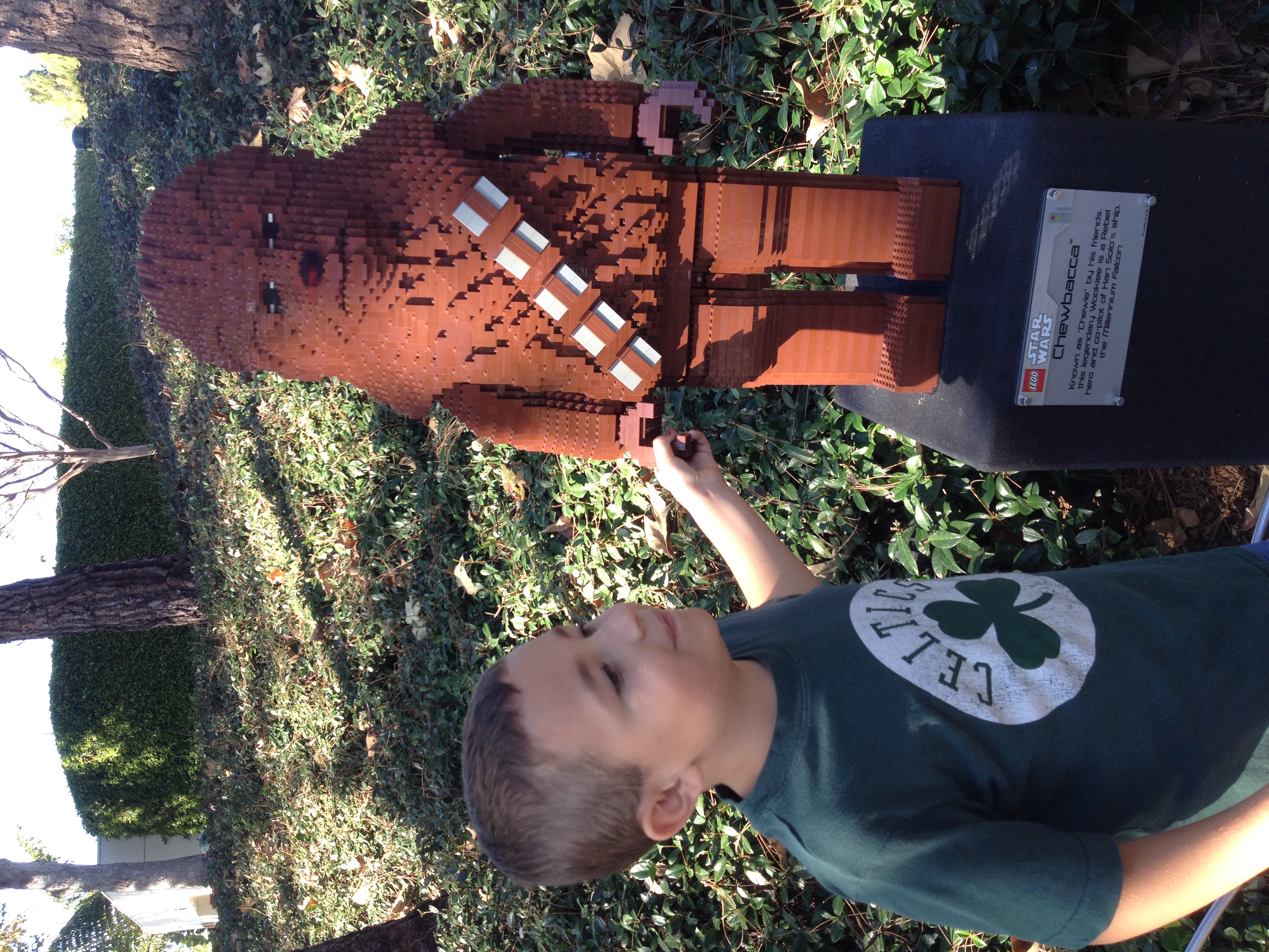 Andy with Chewie
