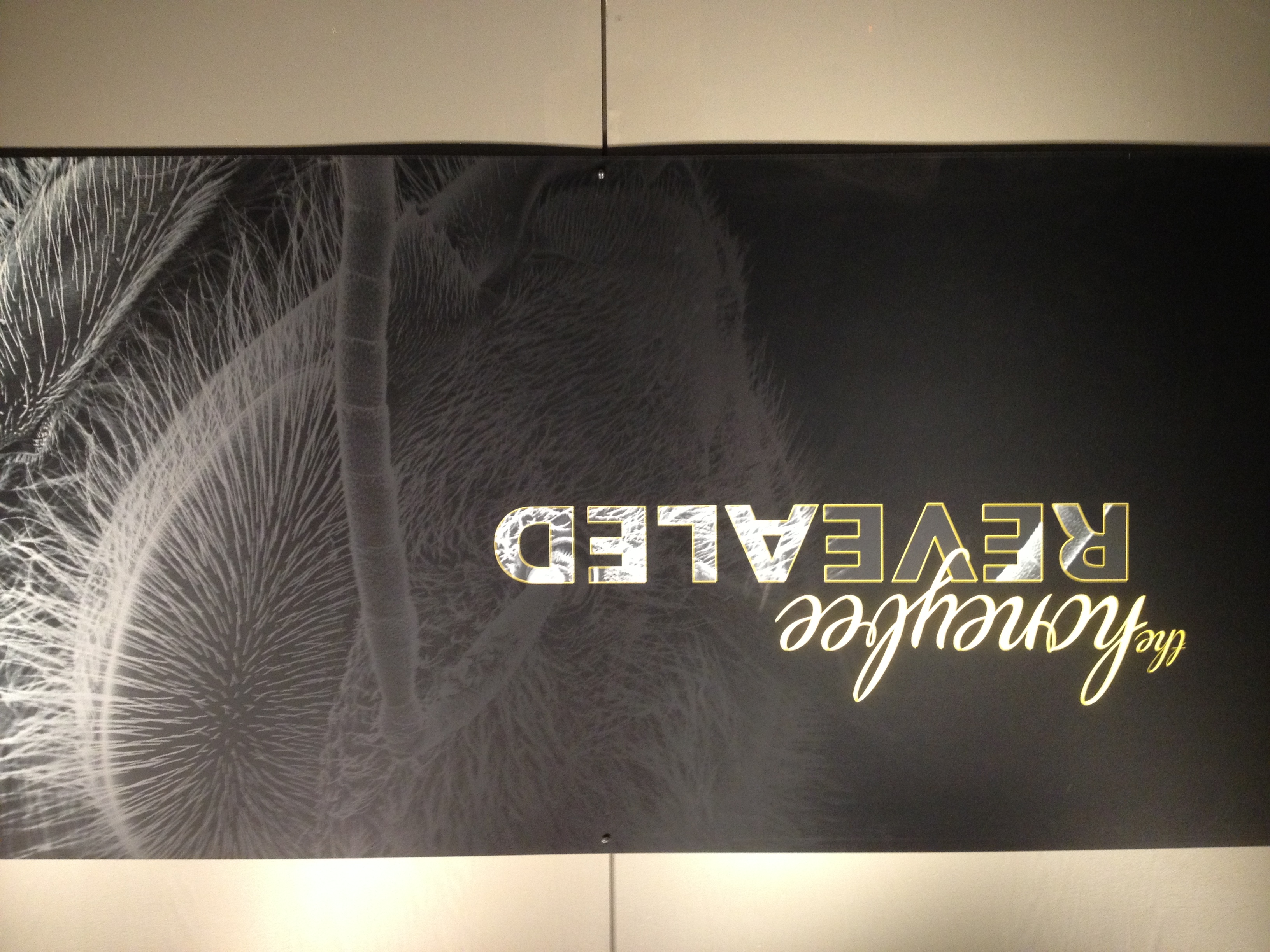An exhibit we saw at the MoS
