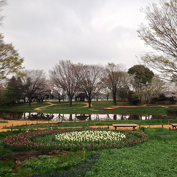 A well-maintained English-style garden with many flowers.
